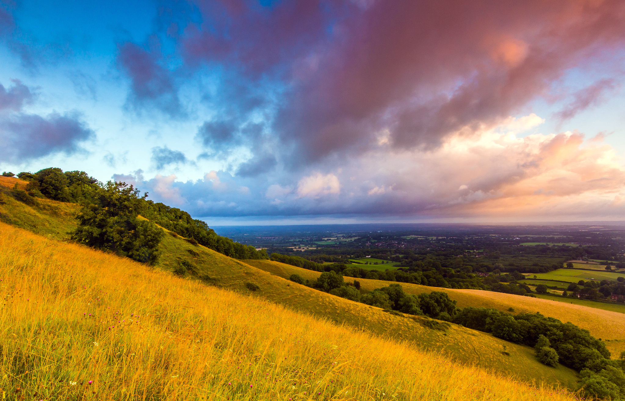 South downs. Саут-Даунс Англия. Саут Даунс природа. Пейзаж холмы. Холмы на рассвете.