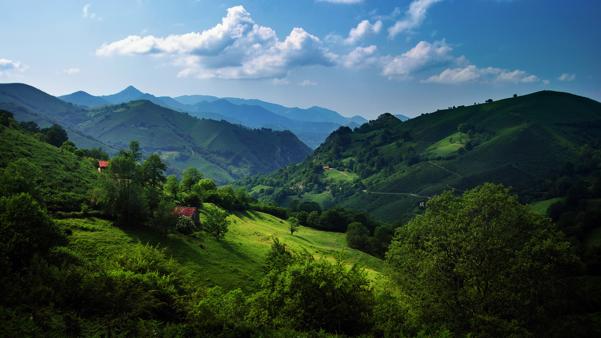 поляна с горами