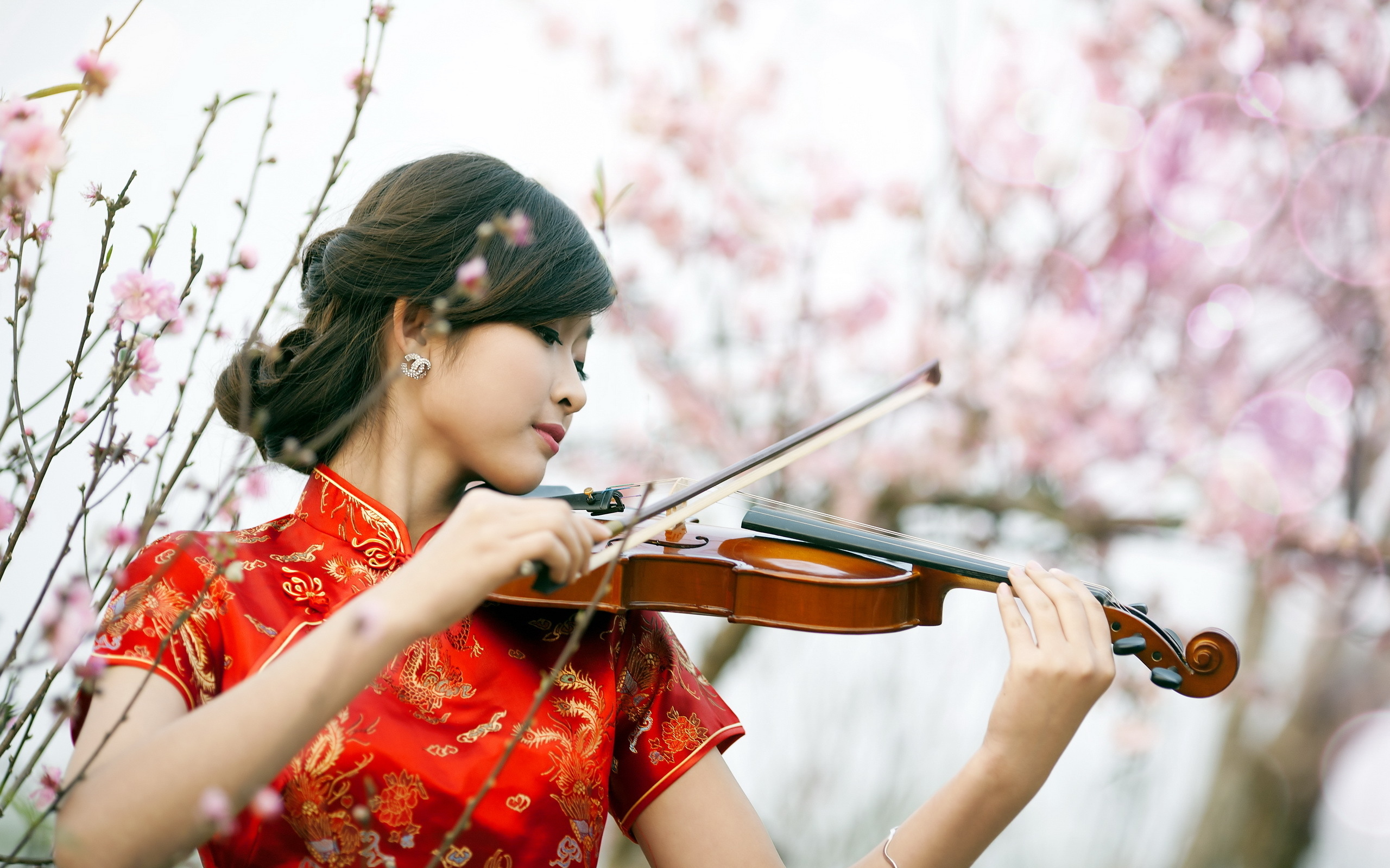 Asia music. Девушки со скрипкой. Японская скрипачка. Девушка скрипачка.