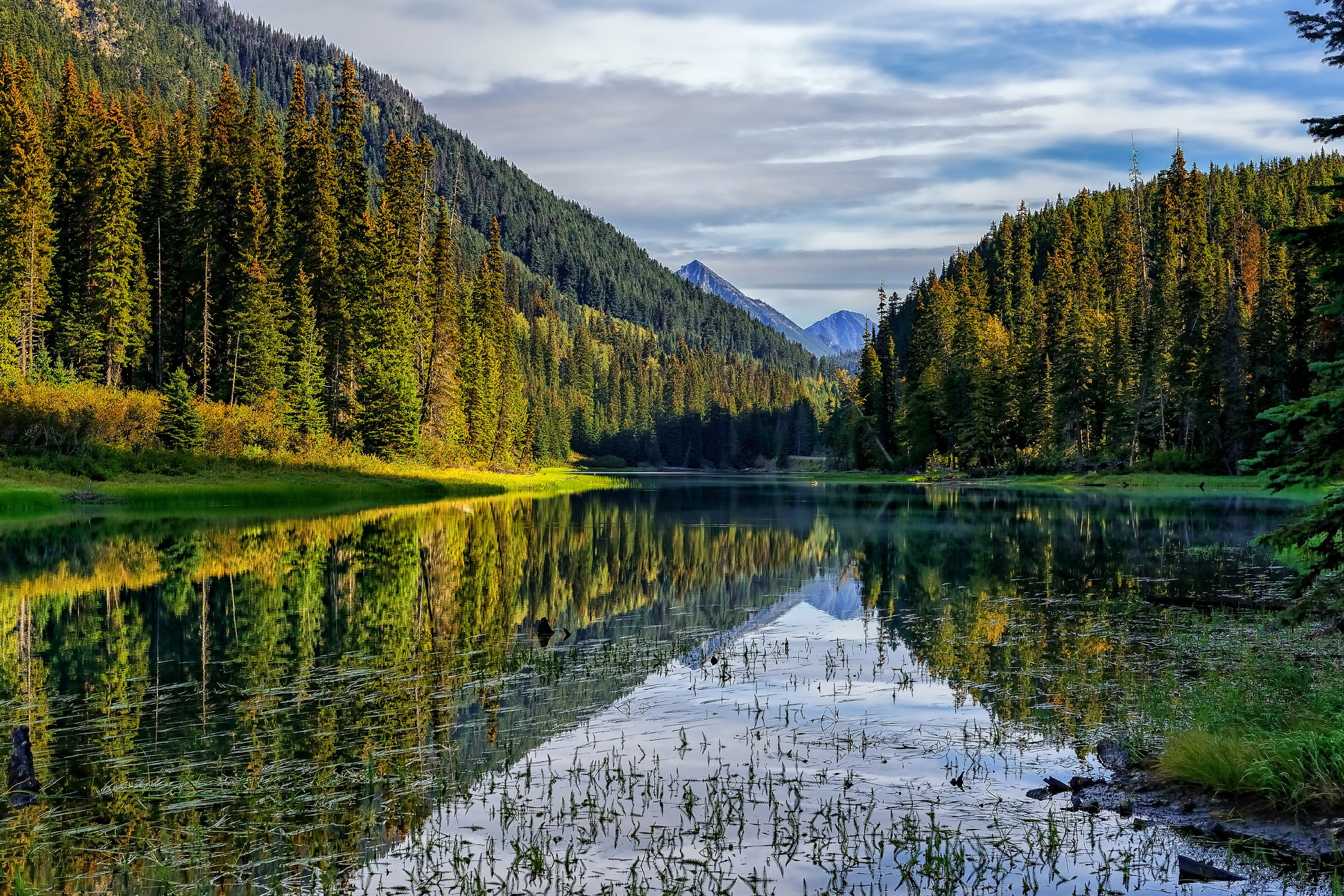 D lake. Лес Квебек Канада. Шварцвальд озеро. Лесное озеро (Forest Lake). Озеро Рица.