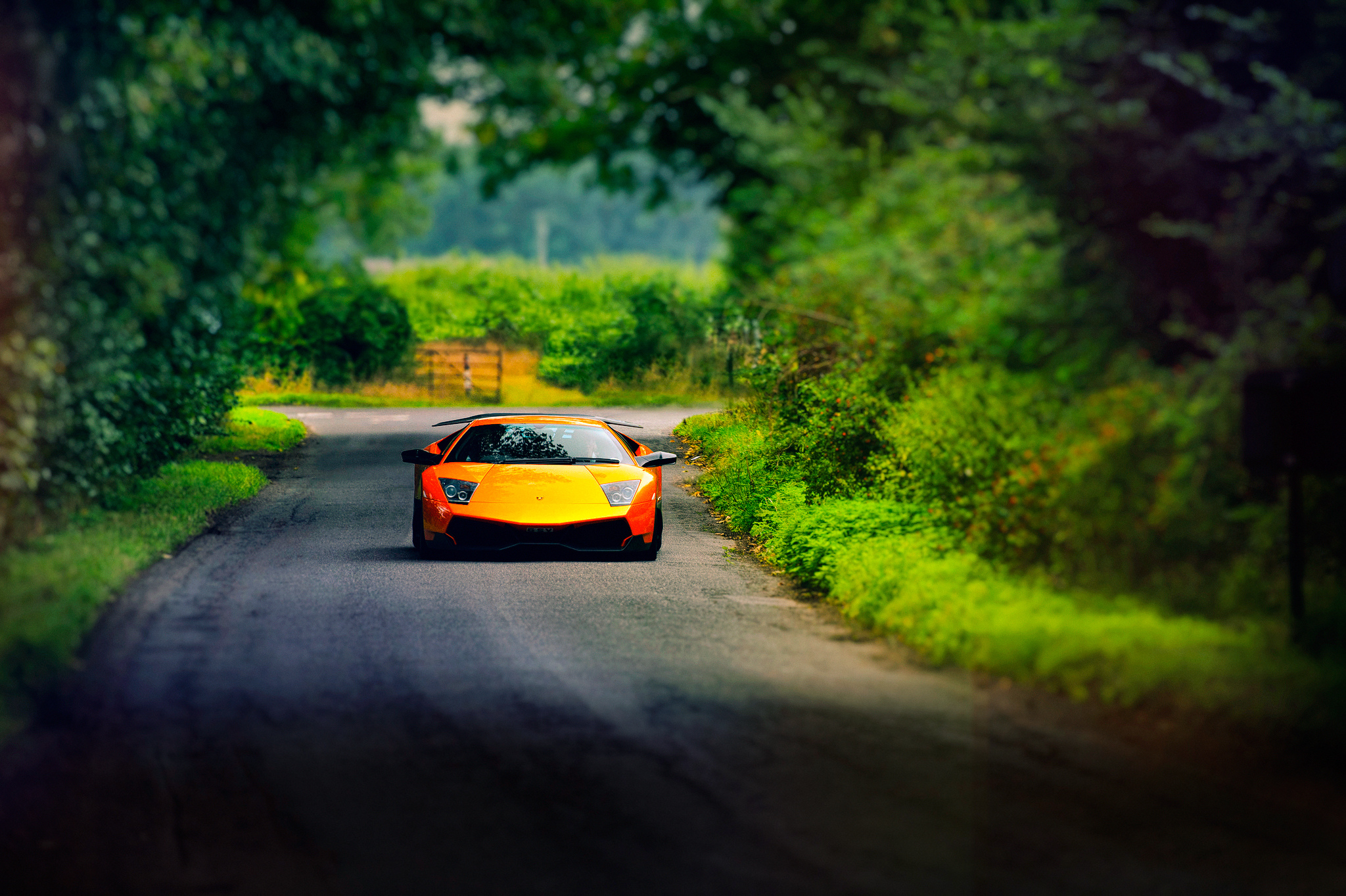 1366x768 Lamborghini Murcielago