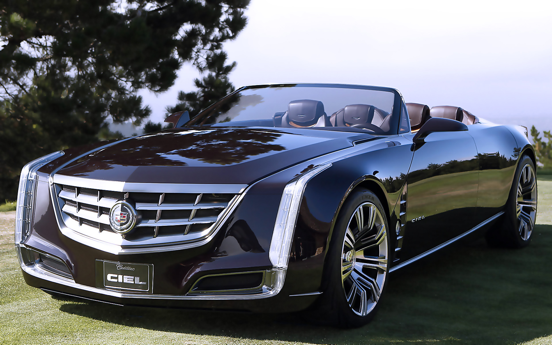 Обои Небо, трава, авто, крутой, Cadillac Ciel Cabrio на рабочий стол