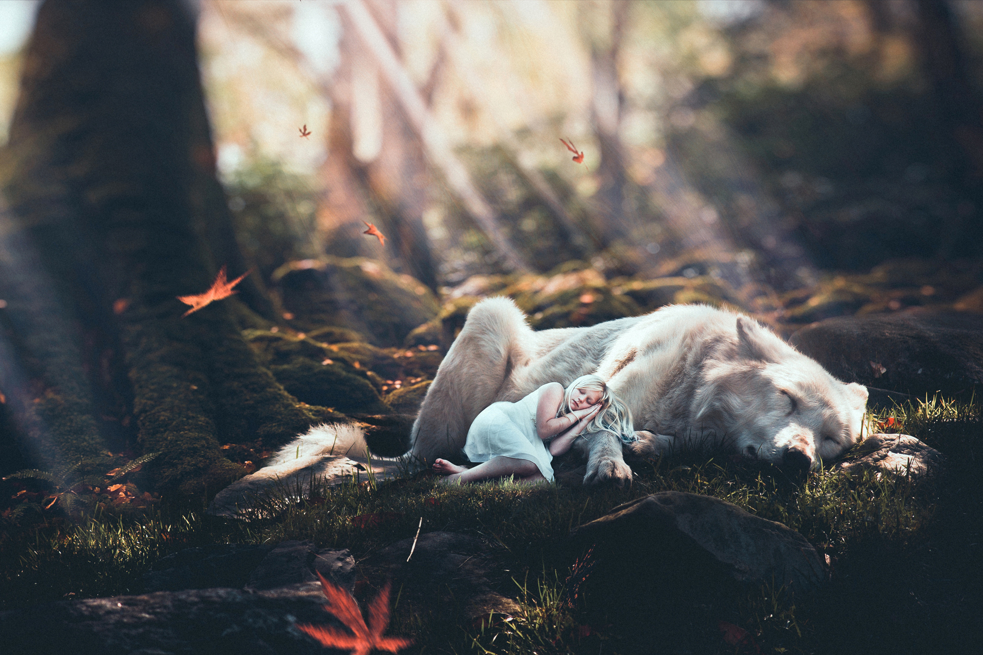 Спит в лесу