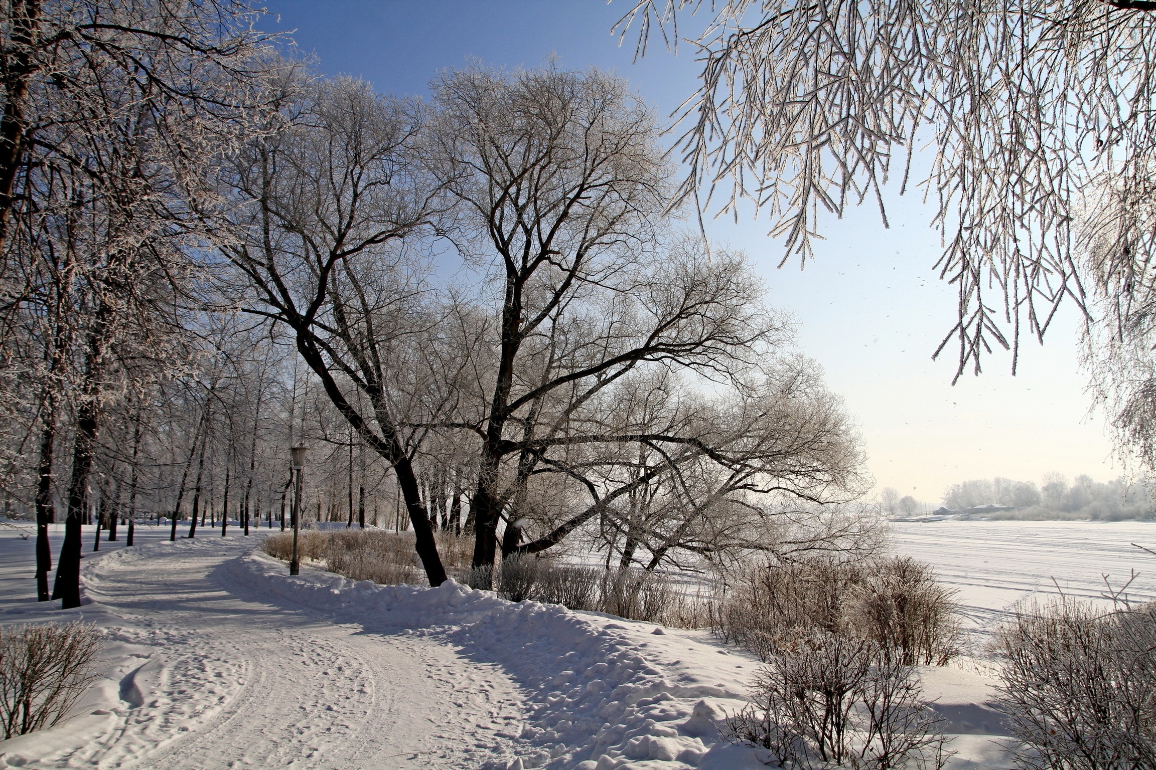 Февраль пейзаж. Зима. Природа зима. Снежные деревья в городе. Февраль природа.