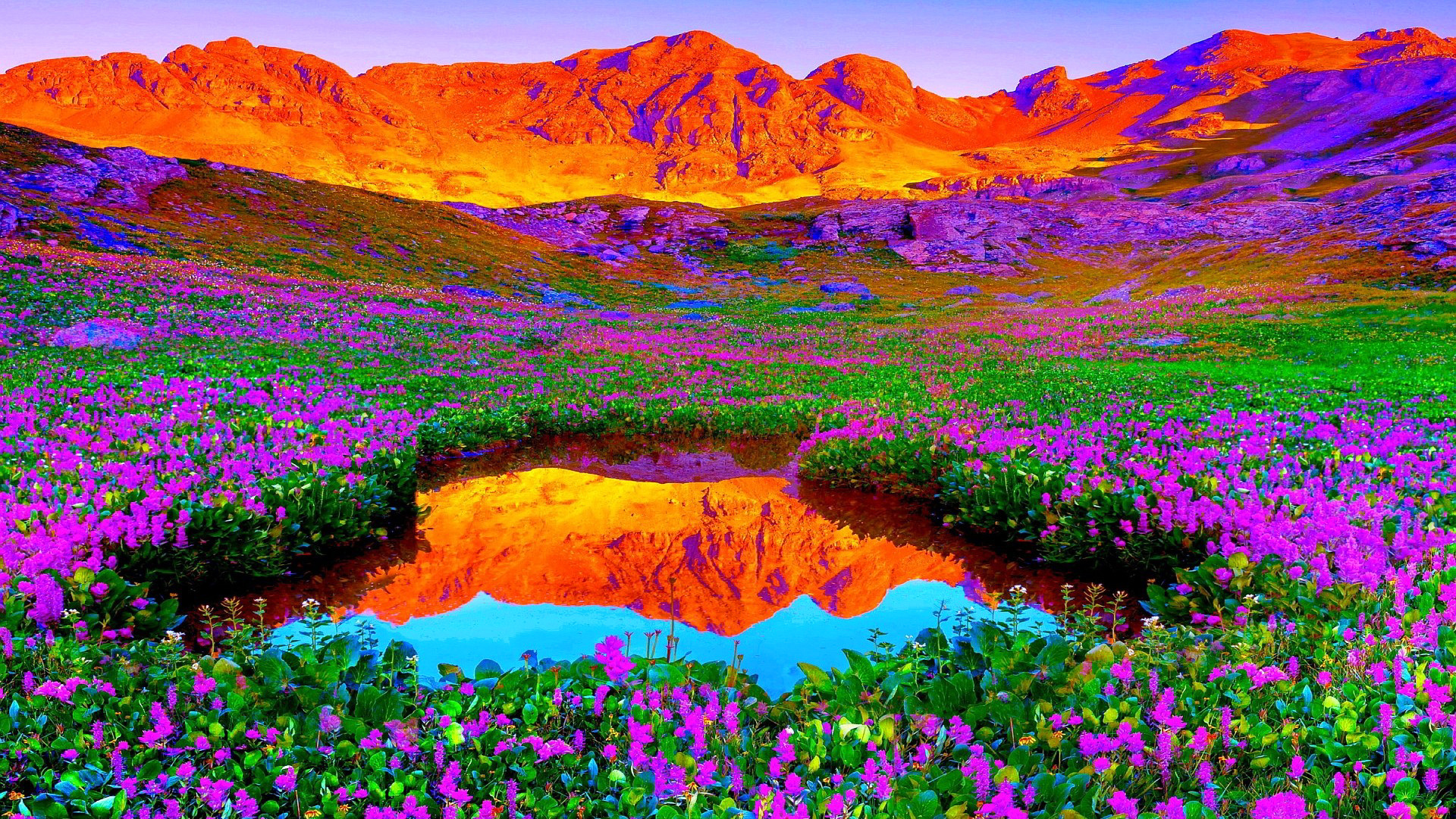 Долина Цветов В Индии