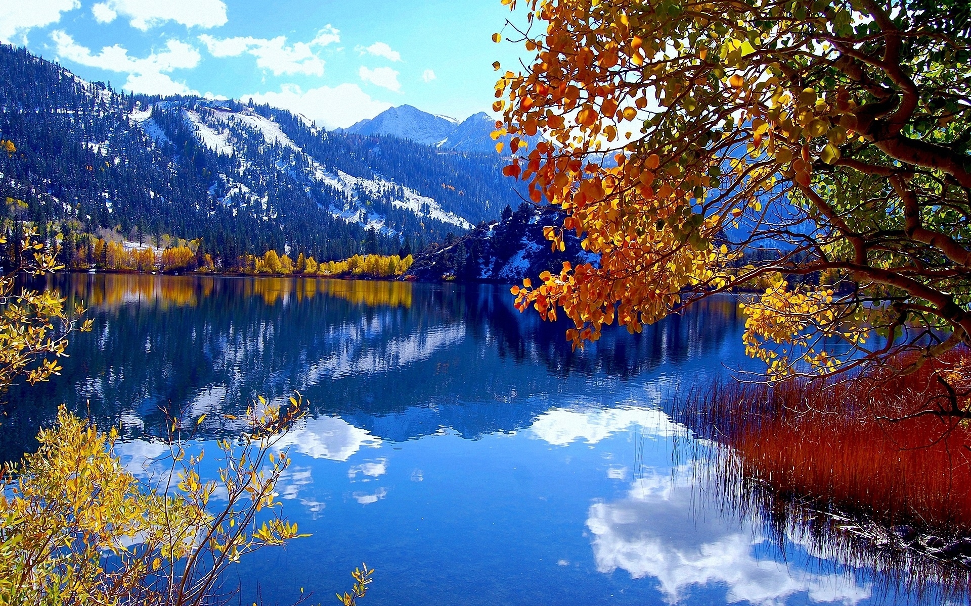 Горы озеро лес осенью