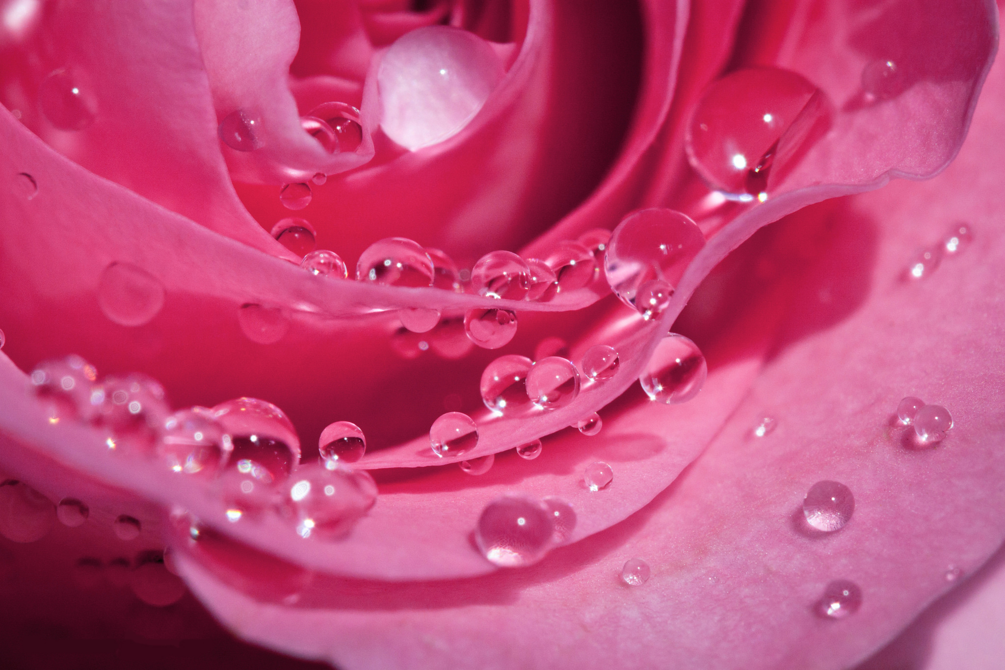 Красивые розовые картинки