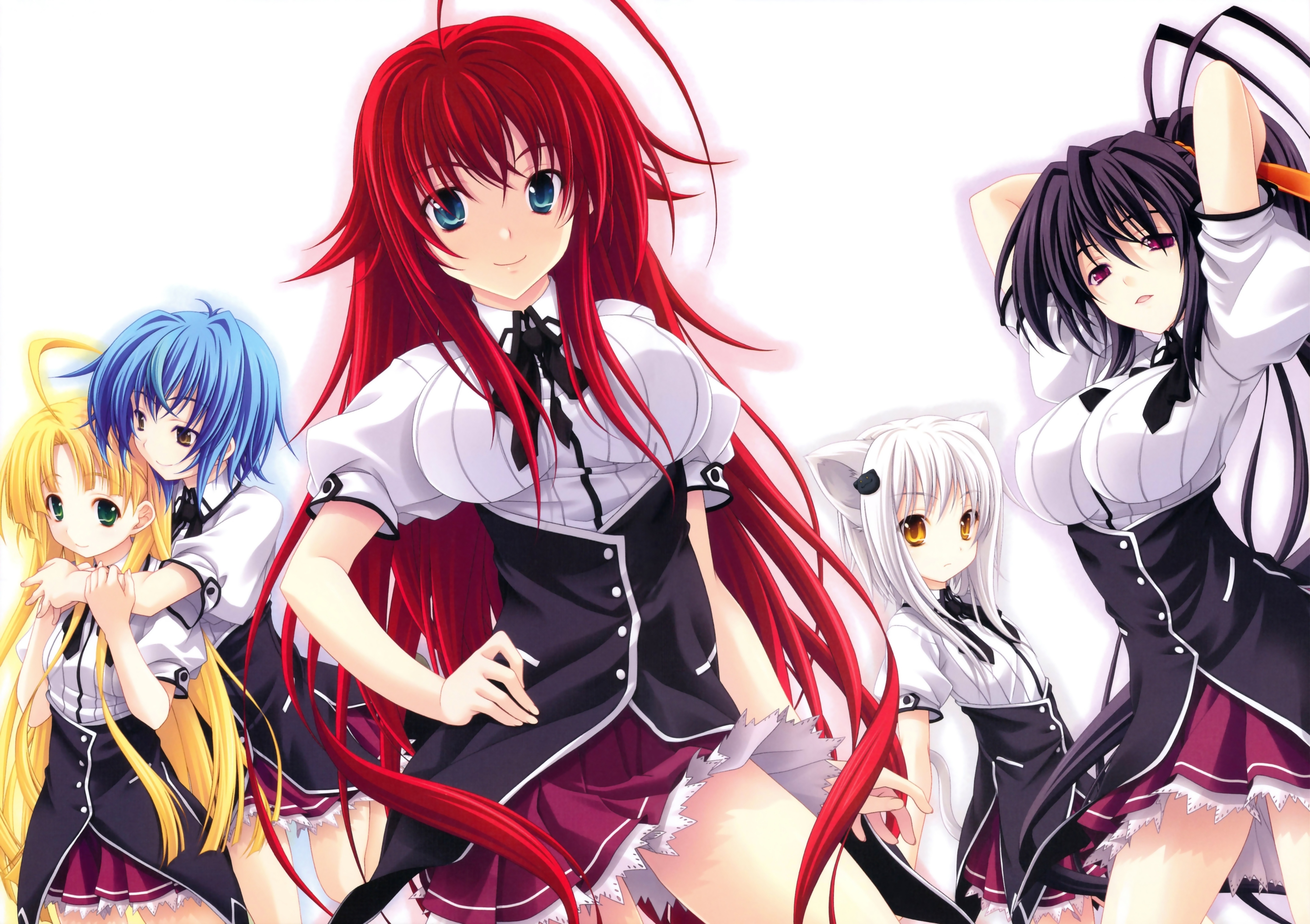 Обои highschool dxd, демонессы, anime, демоны старшей школы, аниме на  рабочий стол