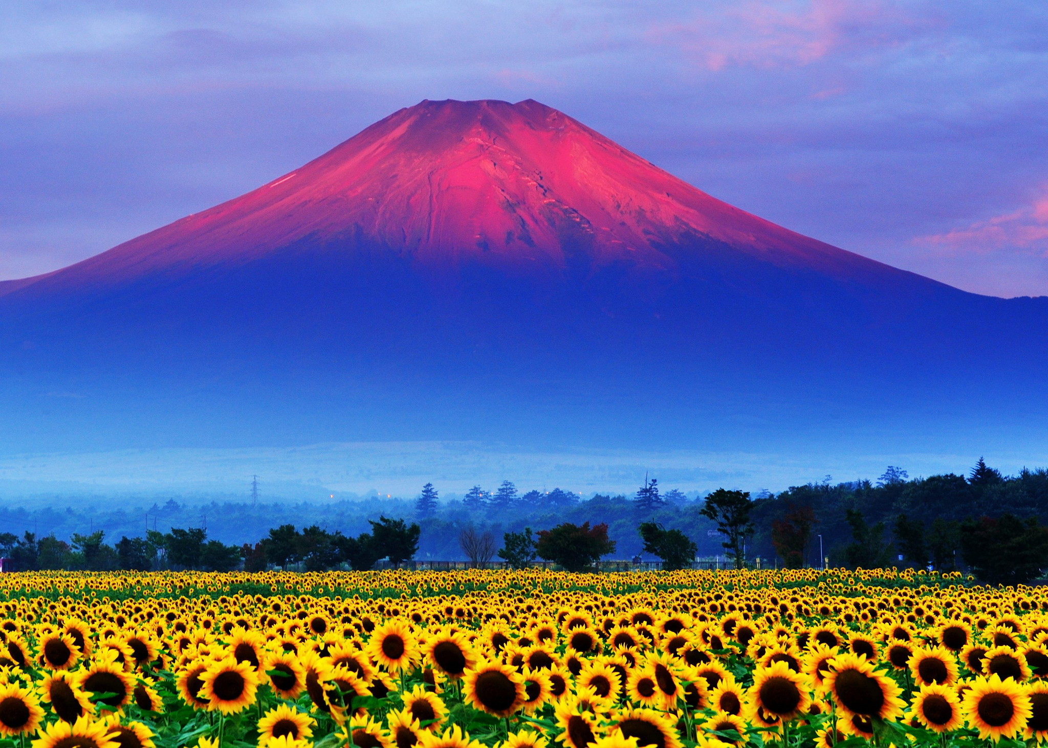 Гора Fuji Япония