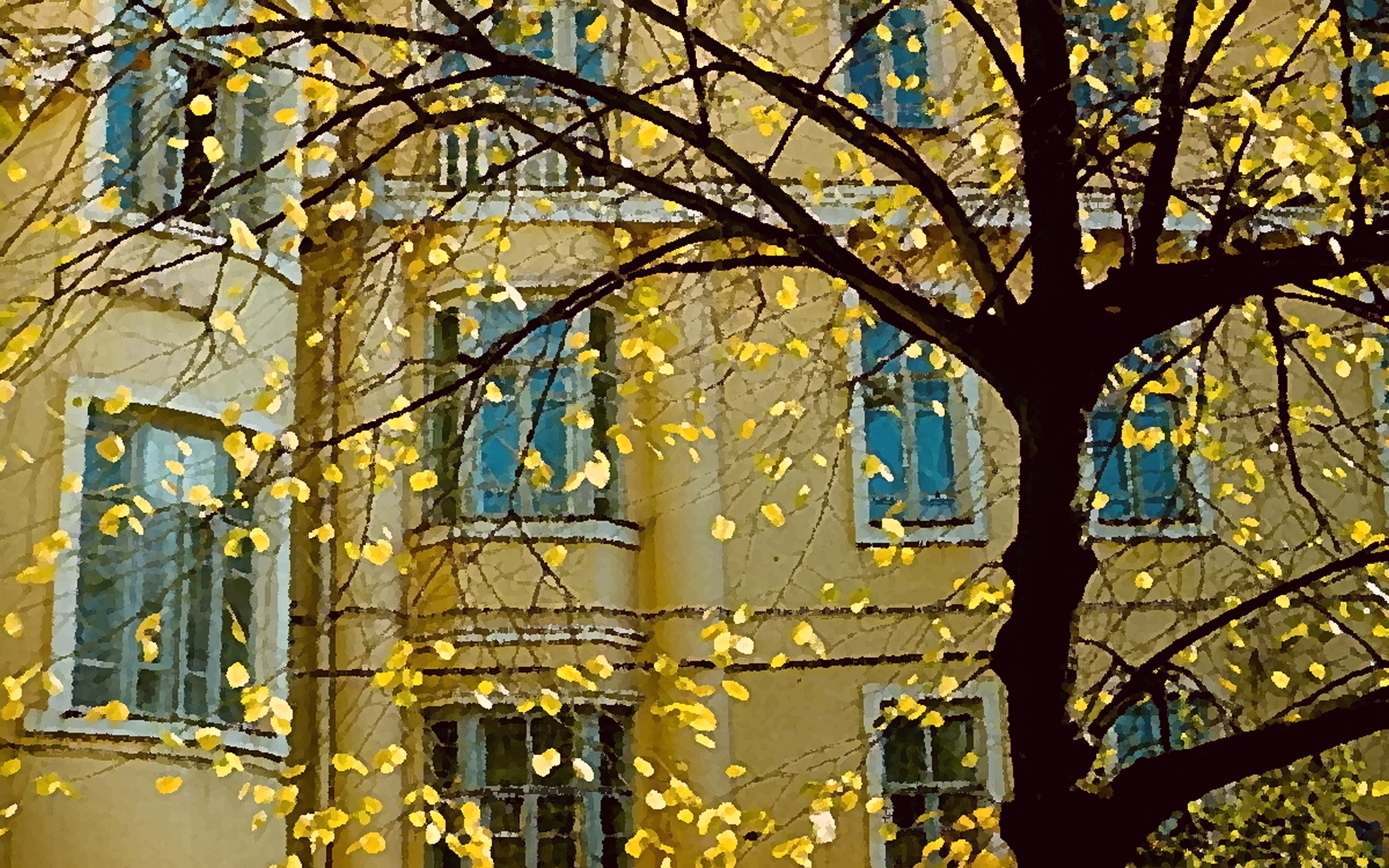Осень за окном в городе