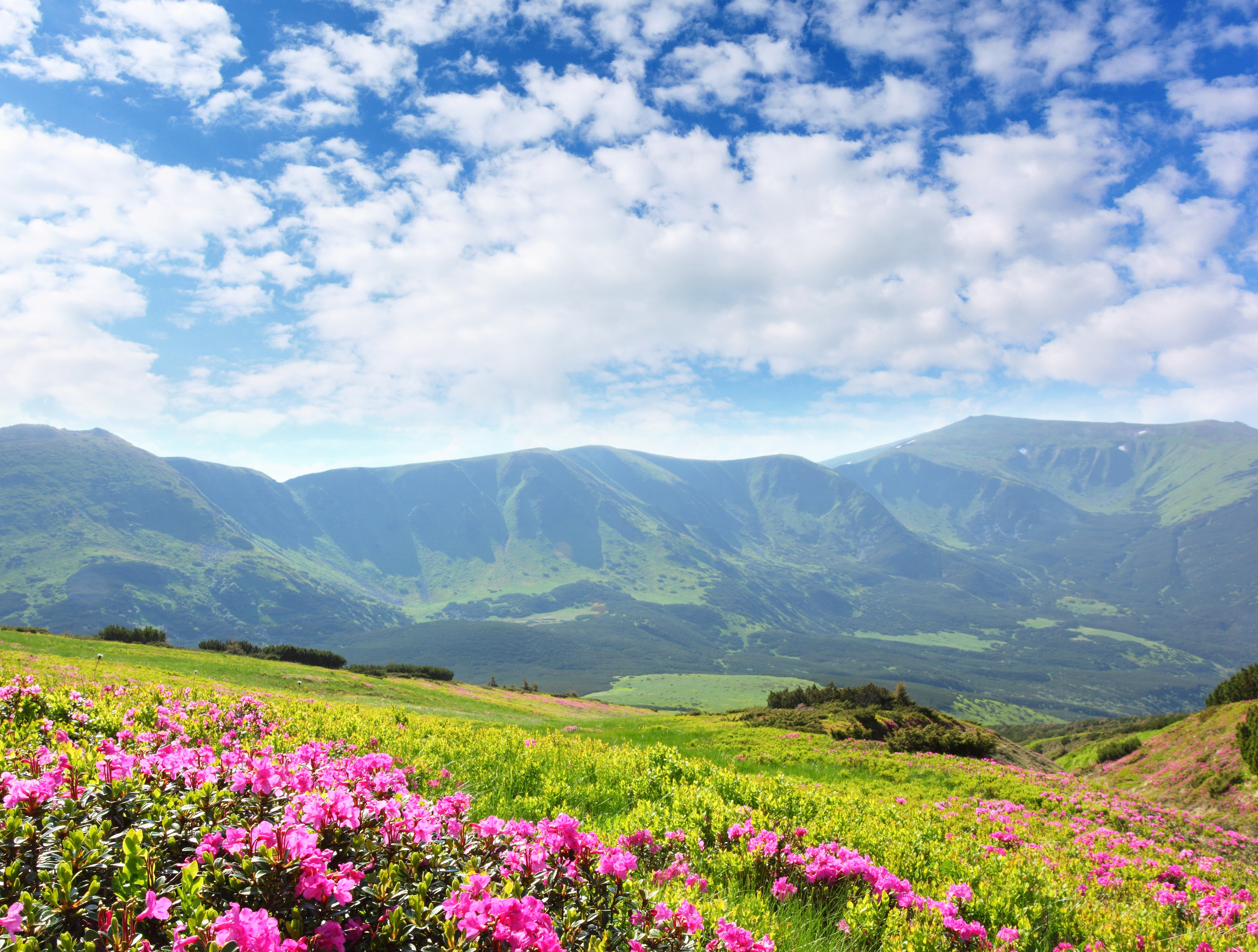 Цветущая Долина Кавказа