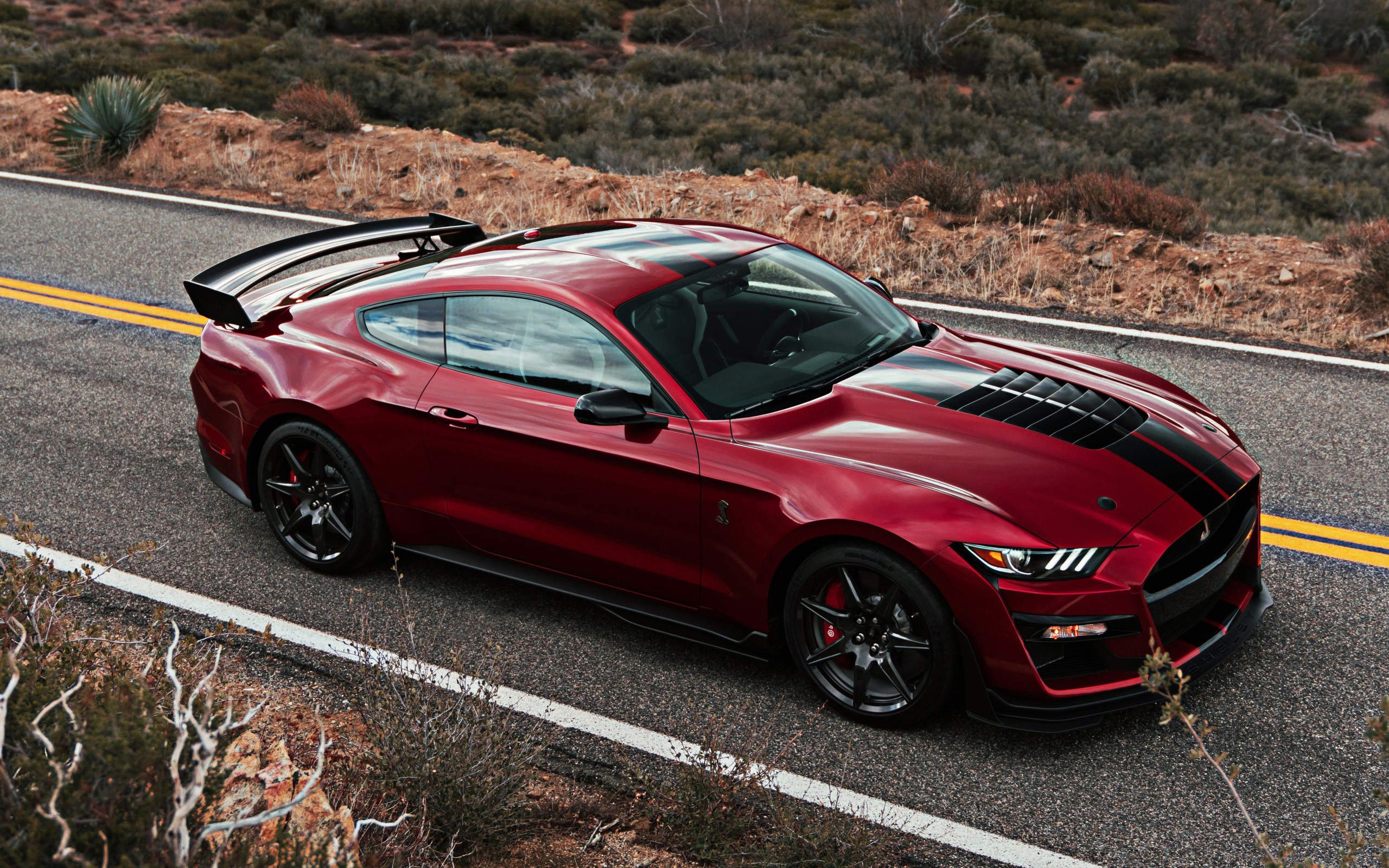 Ford Mustang Shelby 2019