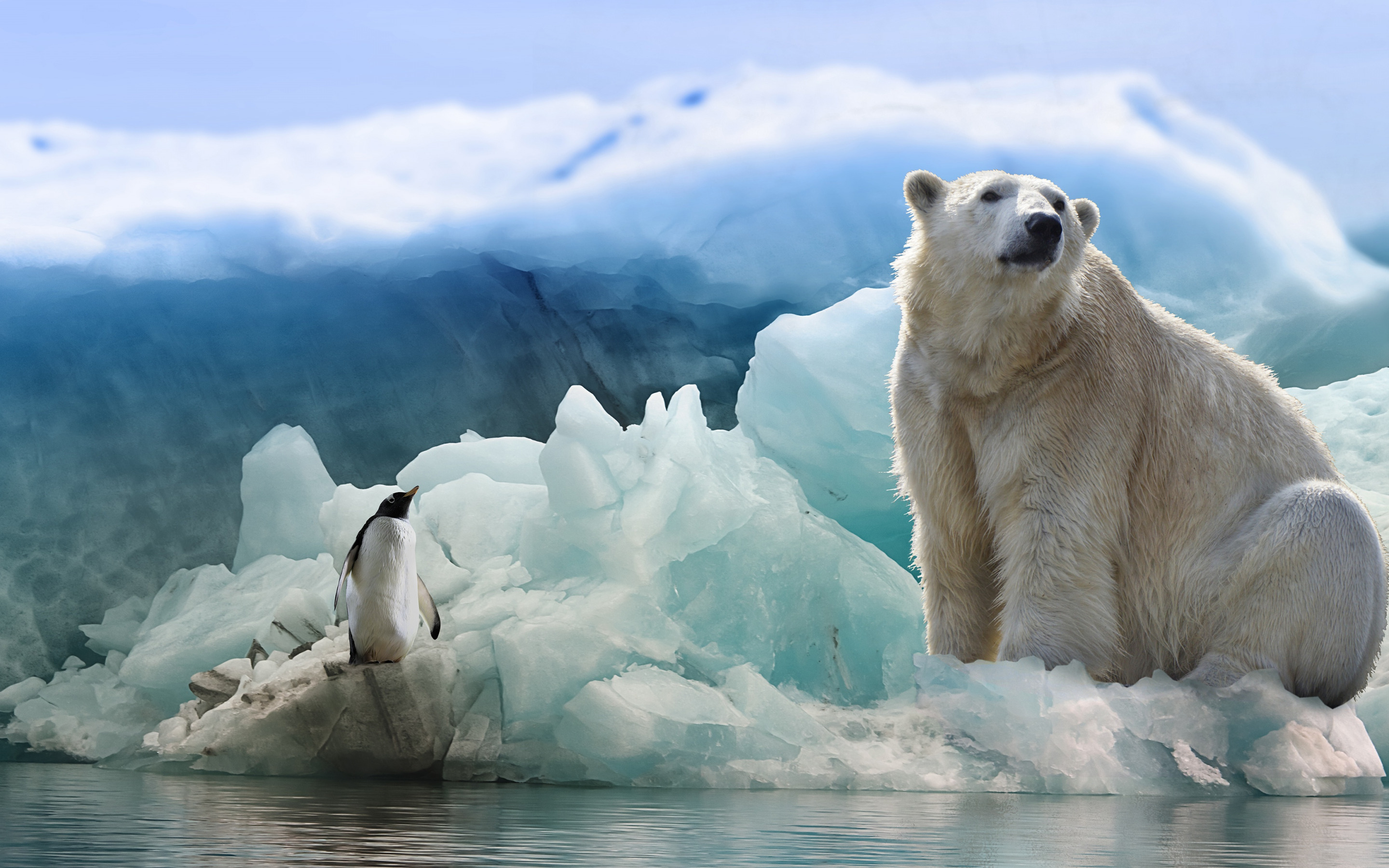 Животные Антарктиды белый медведь