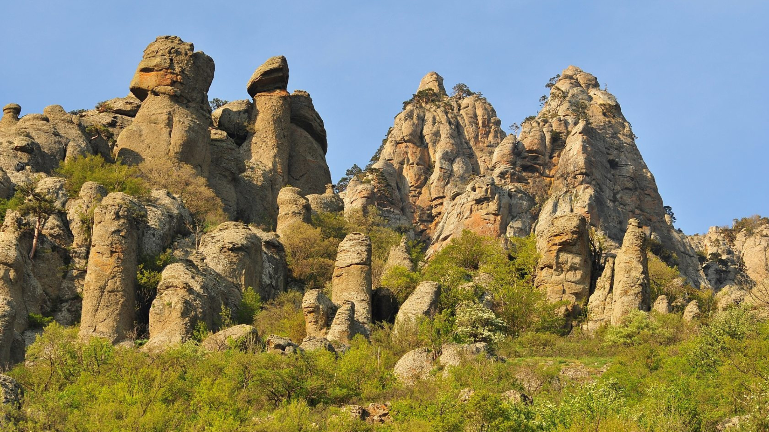 Комплексные памятники природы