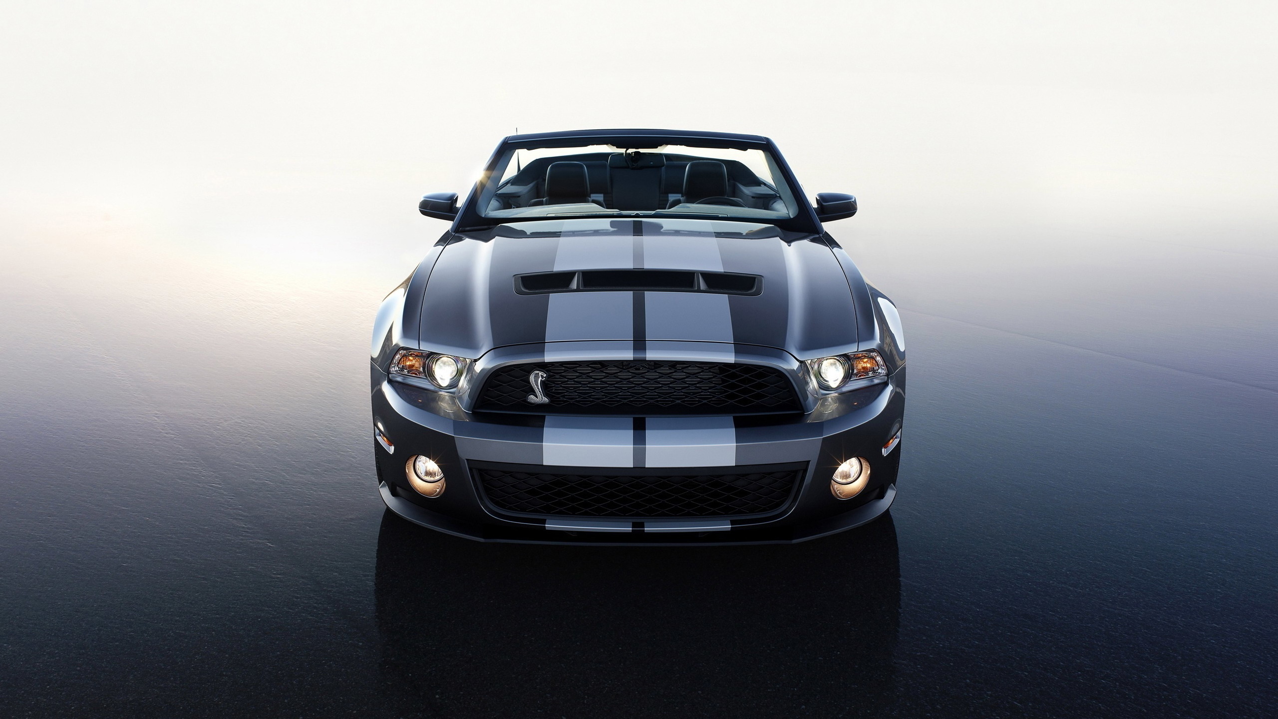 Фото передней машины. Форд Мустанг Шелби. Ford Mustang Shelby gt500 2010. Ford Shelby gt500 спереди. Ford Mustang Shelby gt500 Convertible - 2010.