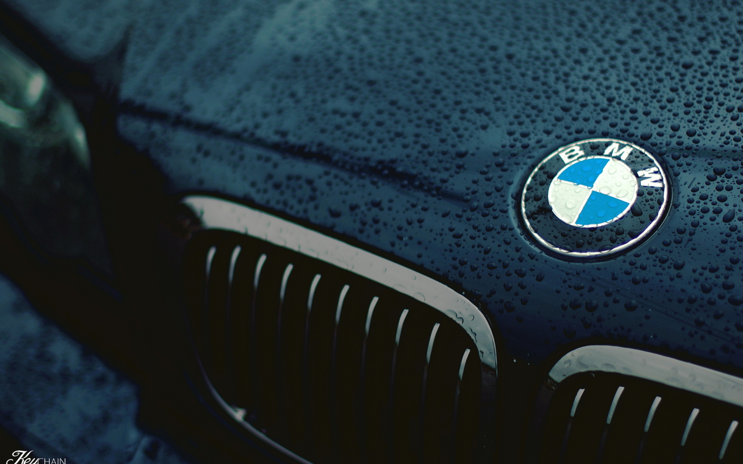 BMW logo 4k