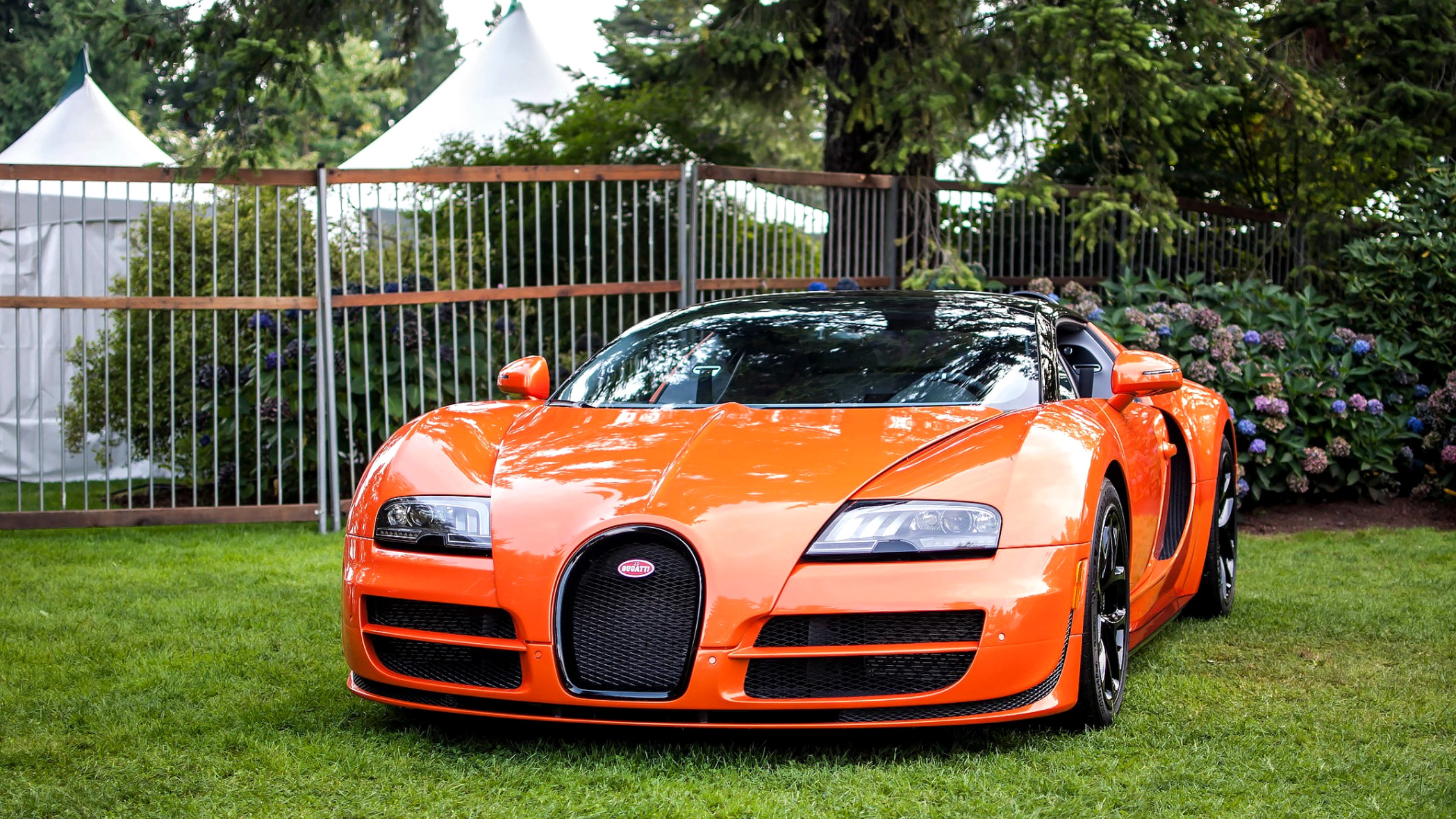 Где крутую машину. Бугатти Вейрон. Bugatti 2001. Бугатти 5000. Bugatti 2022.