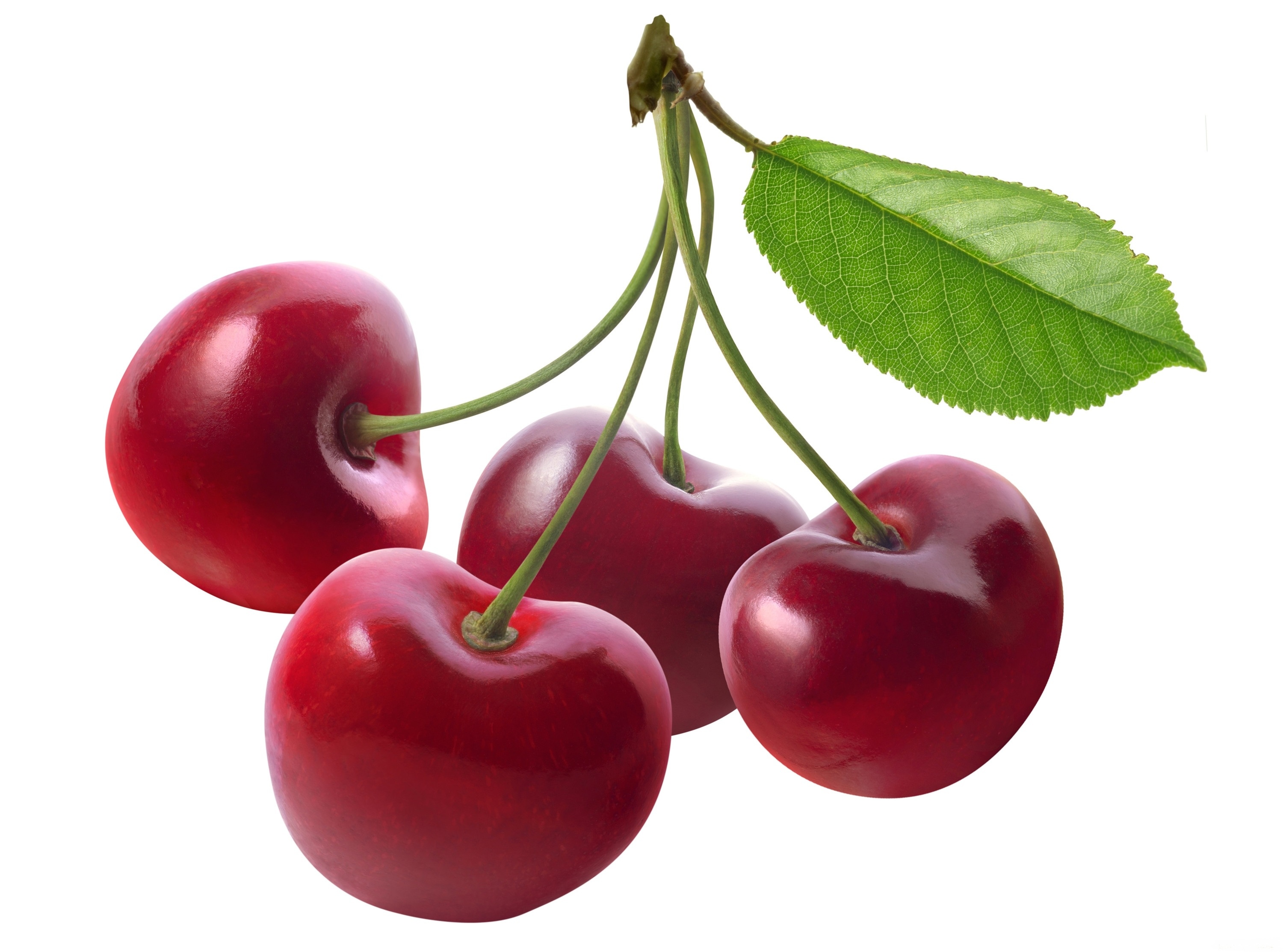 Cherry перевод. Вишня. Вишня ягода. Черешня. Вишня на белом фоне.