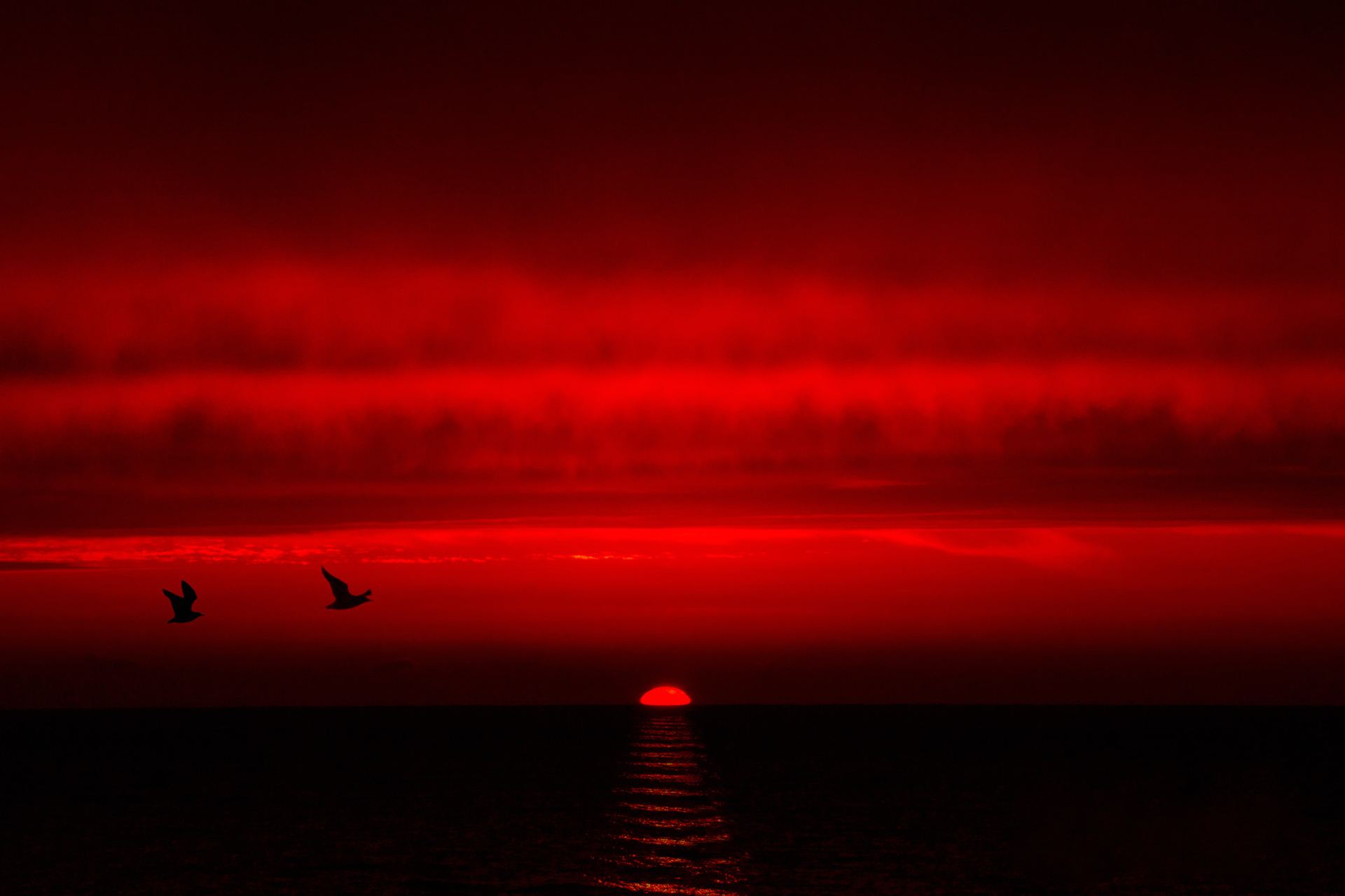 Красный Закат На Море