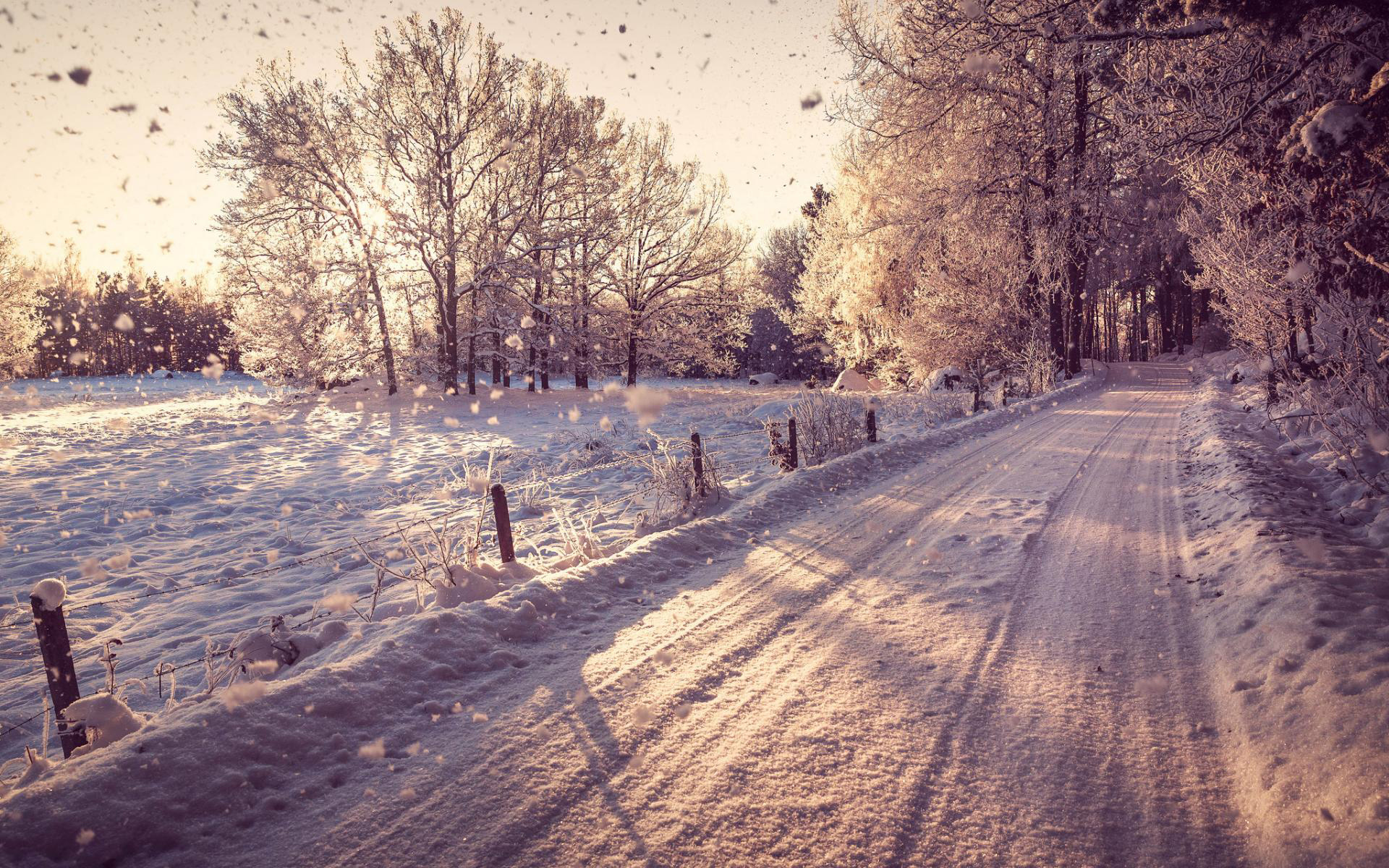 Зима дорога