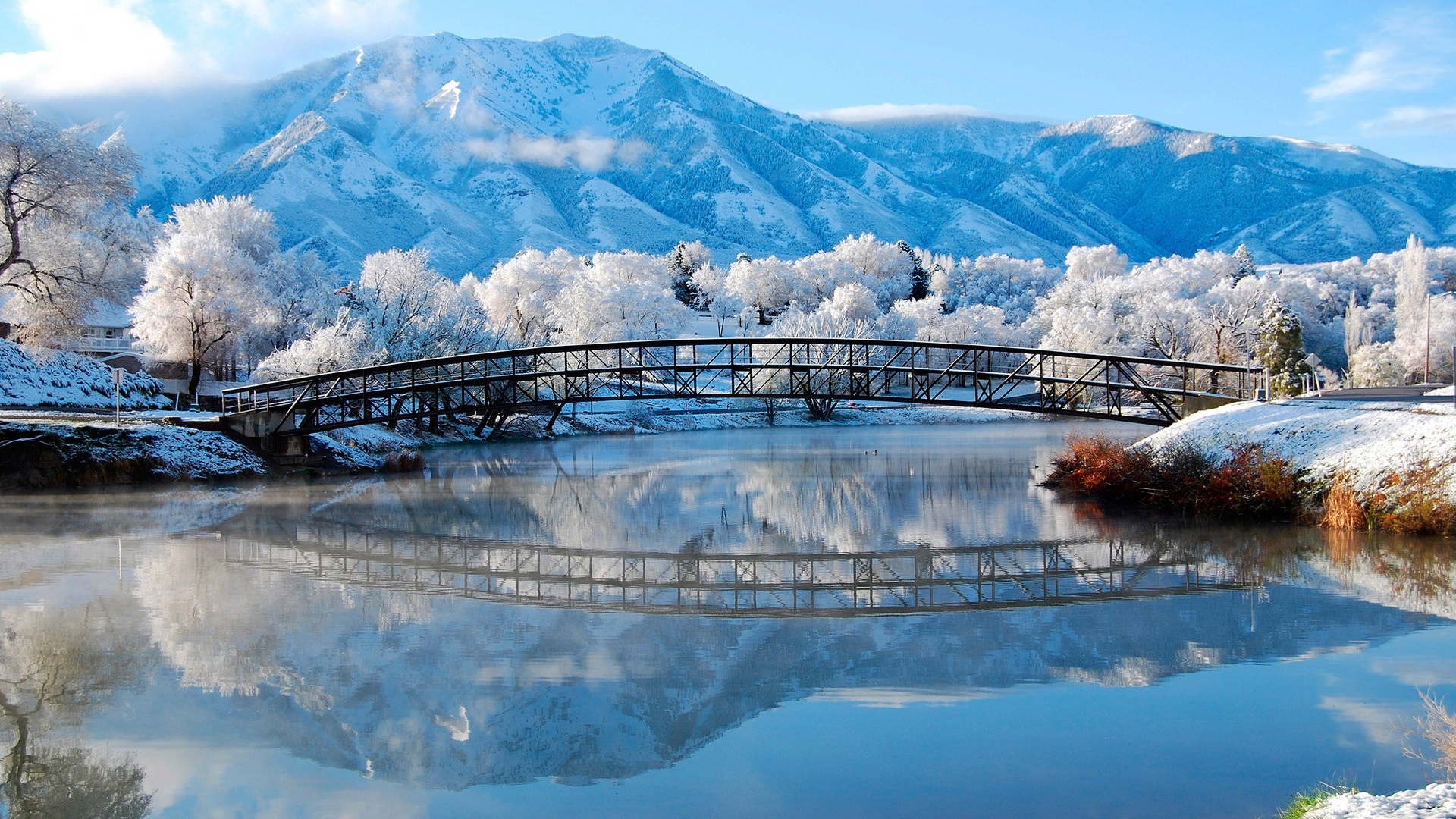 Ранчо аргудан кбр фото