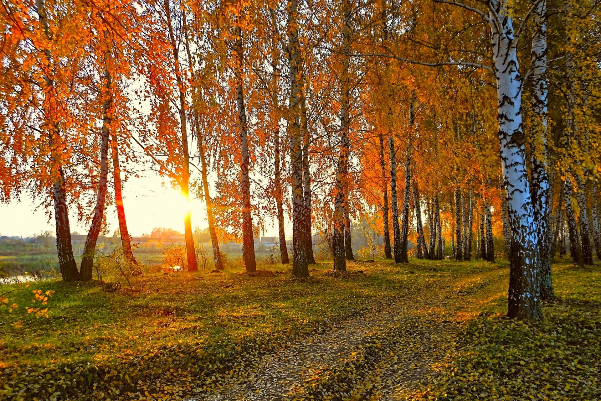 Осень в России