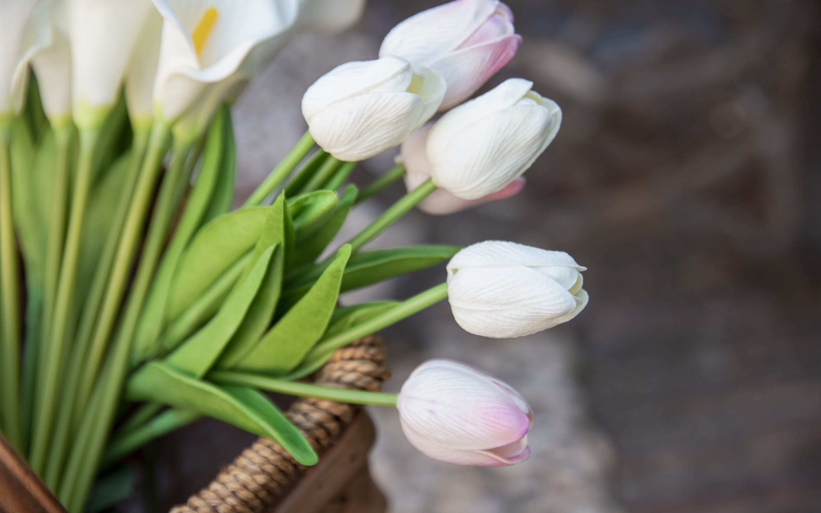 Весенний букет белых тюльпанов
