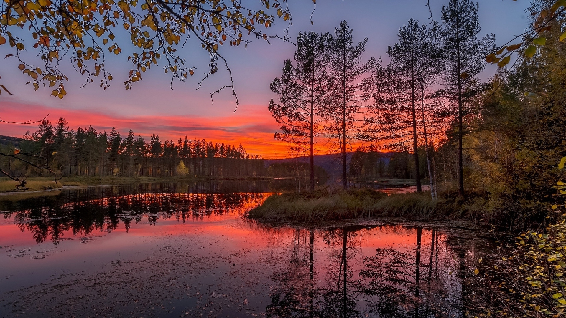 Осень река рассвет