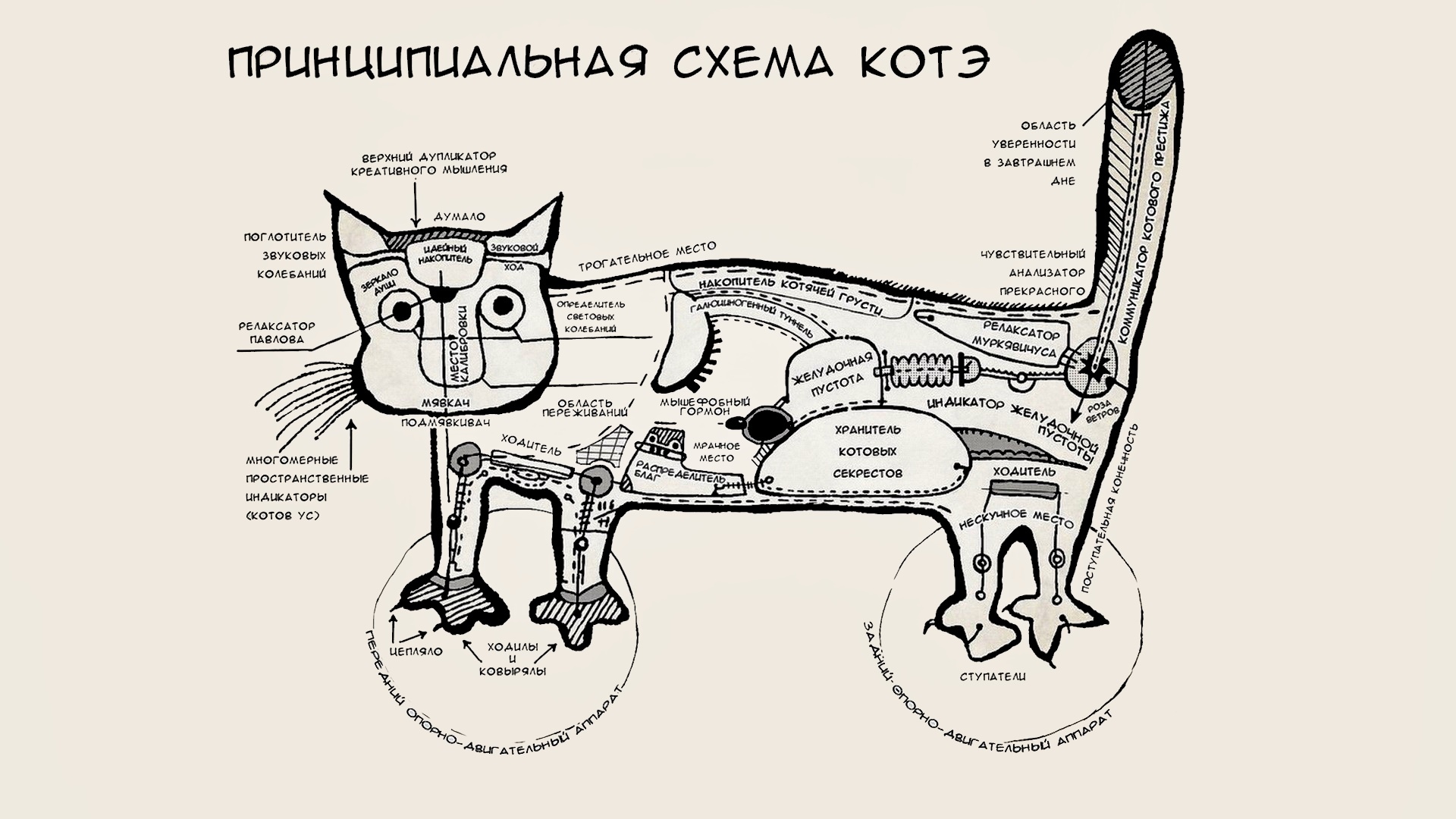 Поставь котэ. Принципиальная схема кота. Принципиальная схема котэ. Схема кота прикол. Смешные кошки анатомия.