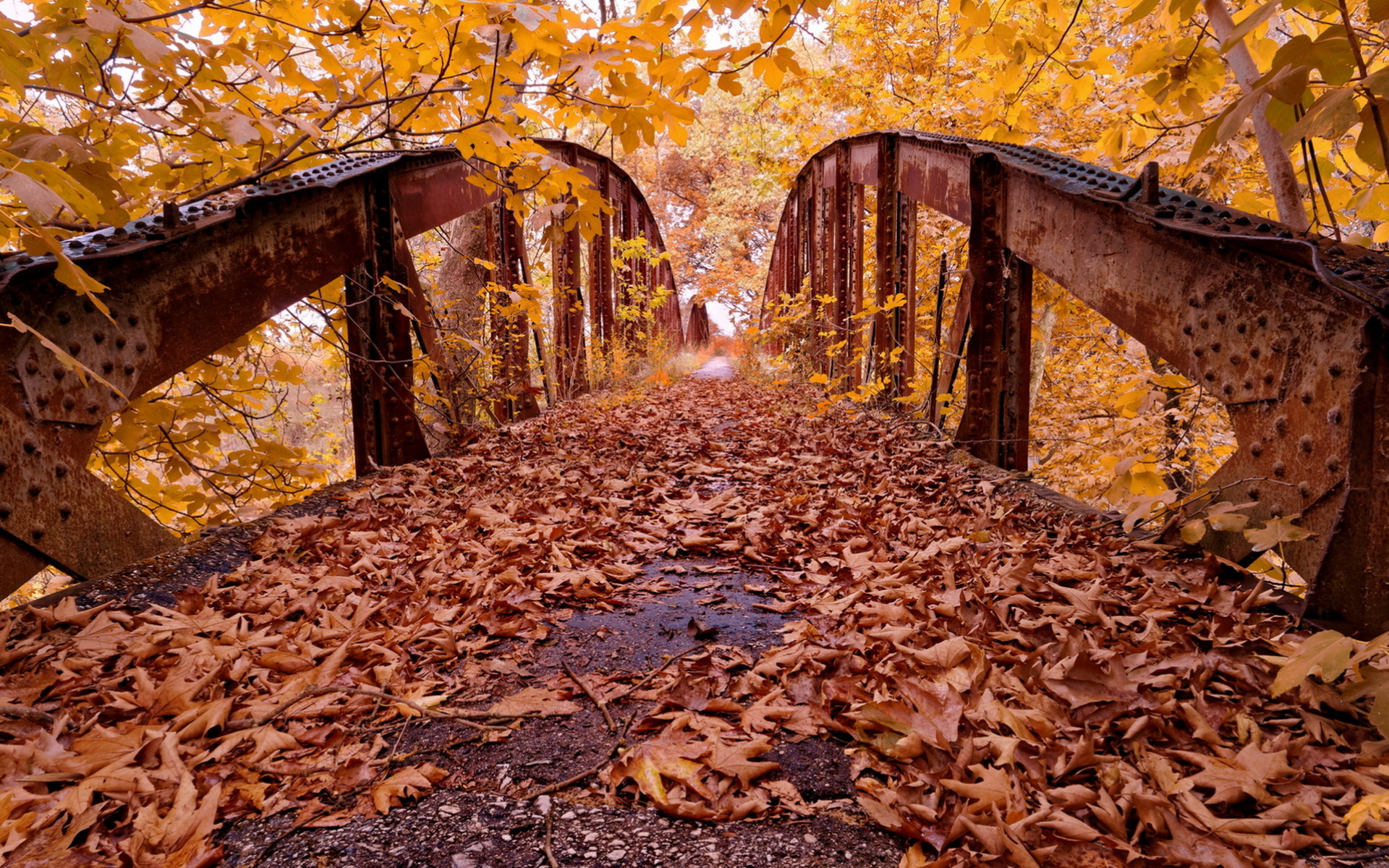 Осень мост