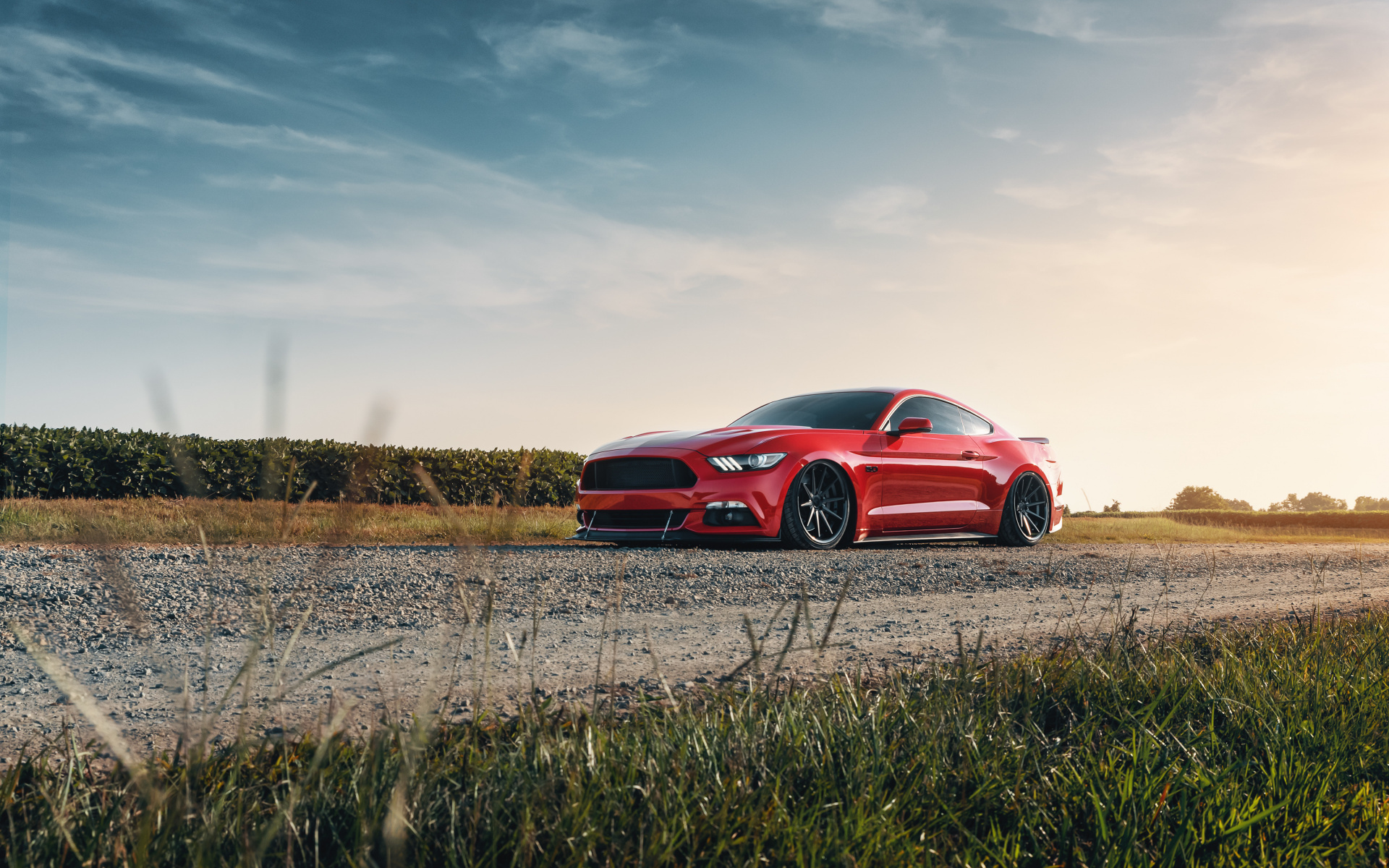 Ford Mustang gt 1920x1080