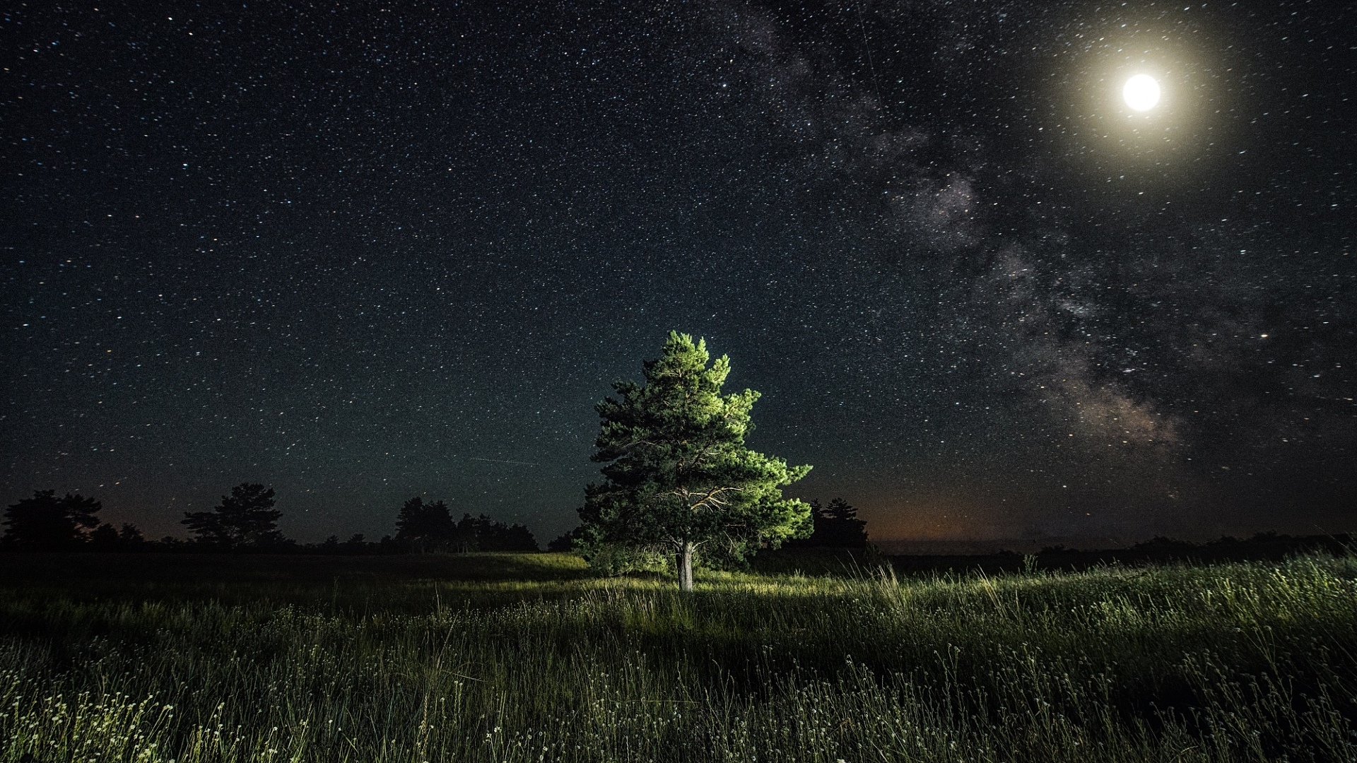 Фото ночного поля