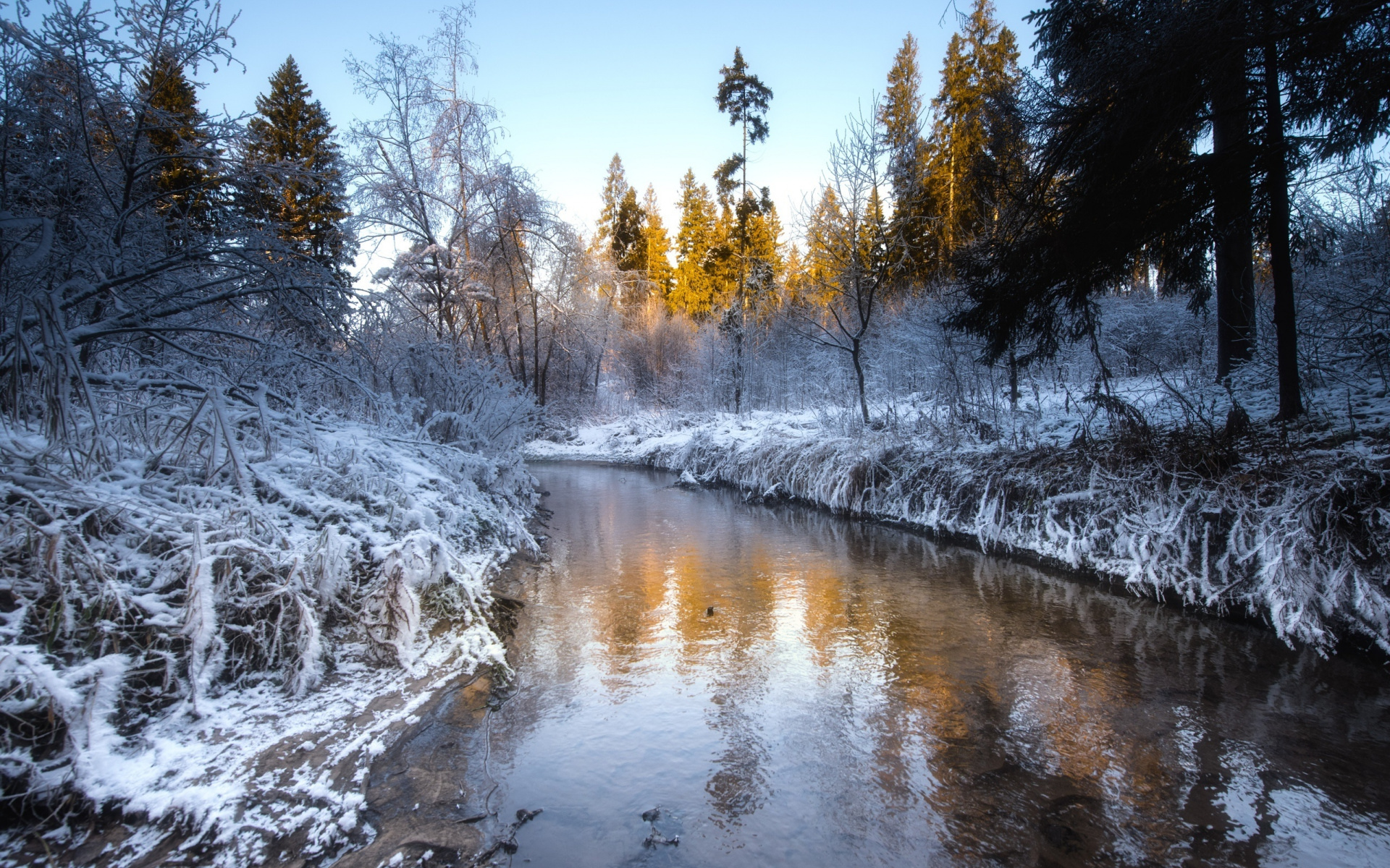 Зима лес речка