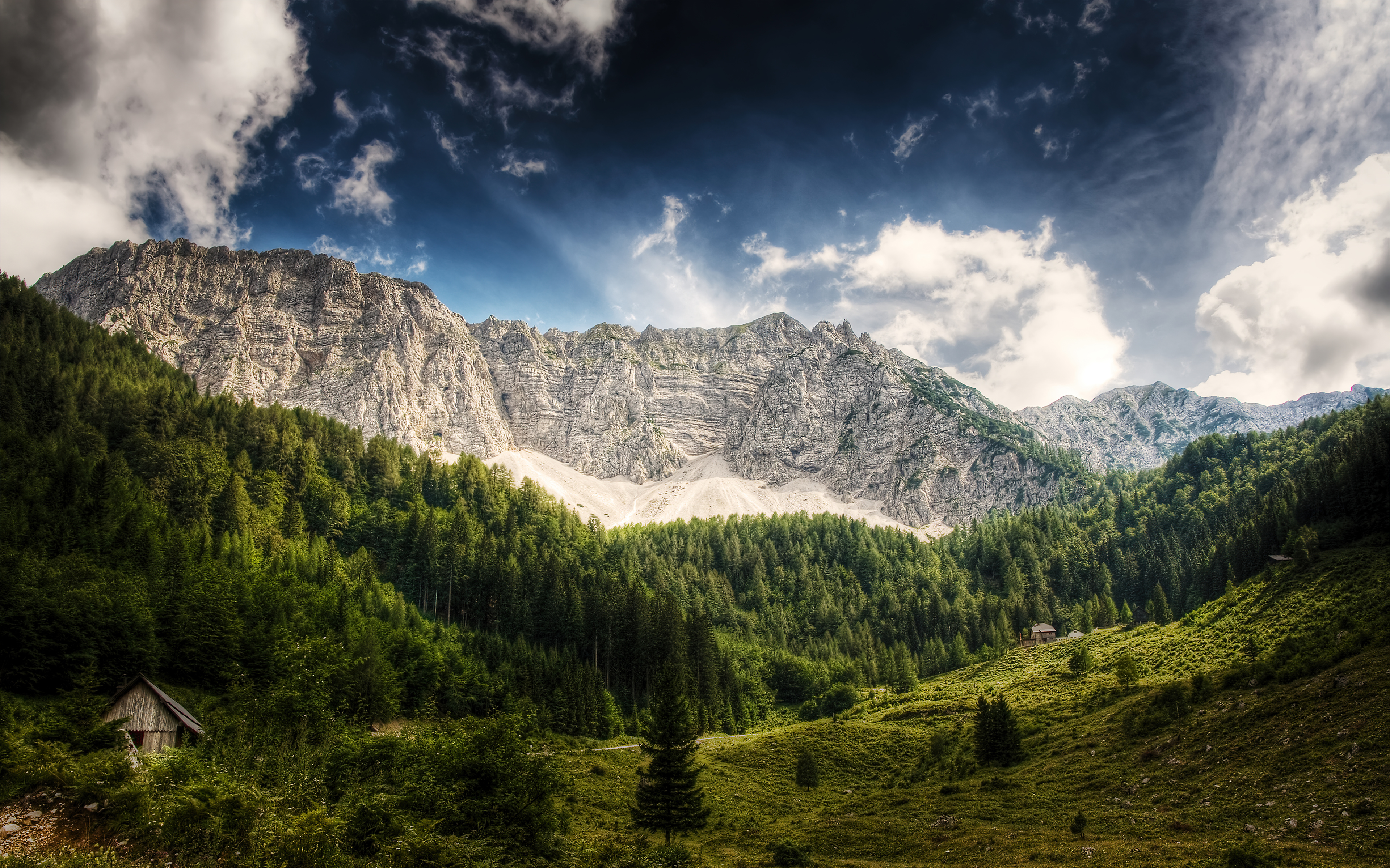 Mountains made of. Австрия Альпы. Австрия Альпы еловый лес. Дикая Лесистая местность горы перспектива. Уллу Тау.