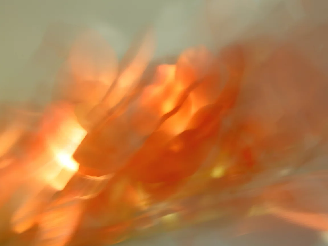 abstract, размытость, абстракция
