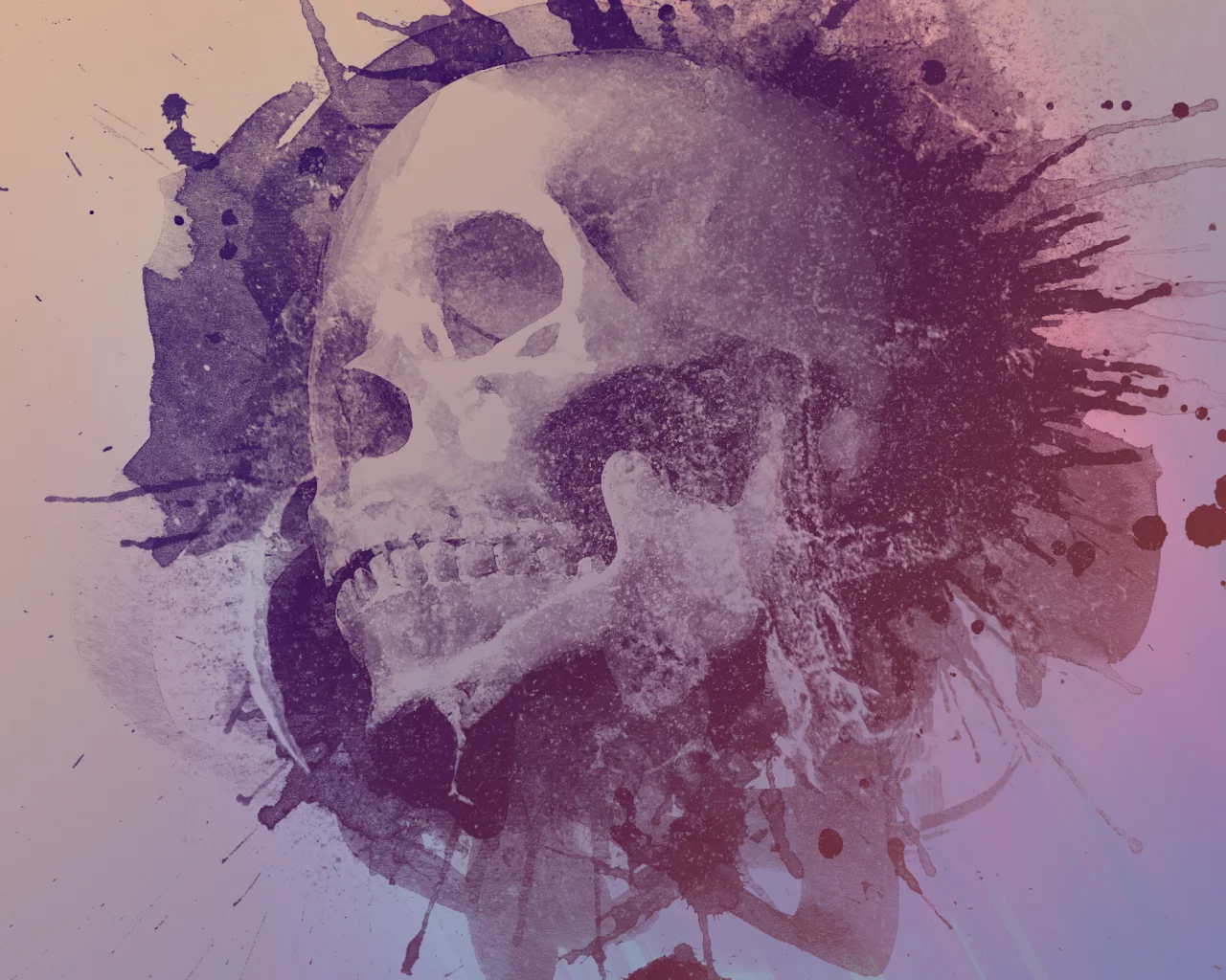 skull, дизайн, design, watercolour, череп, стиль