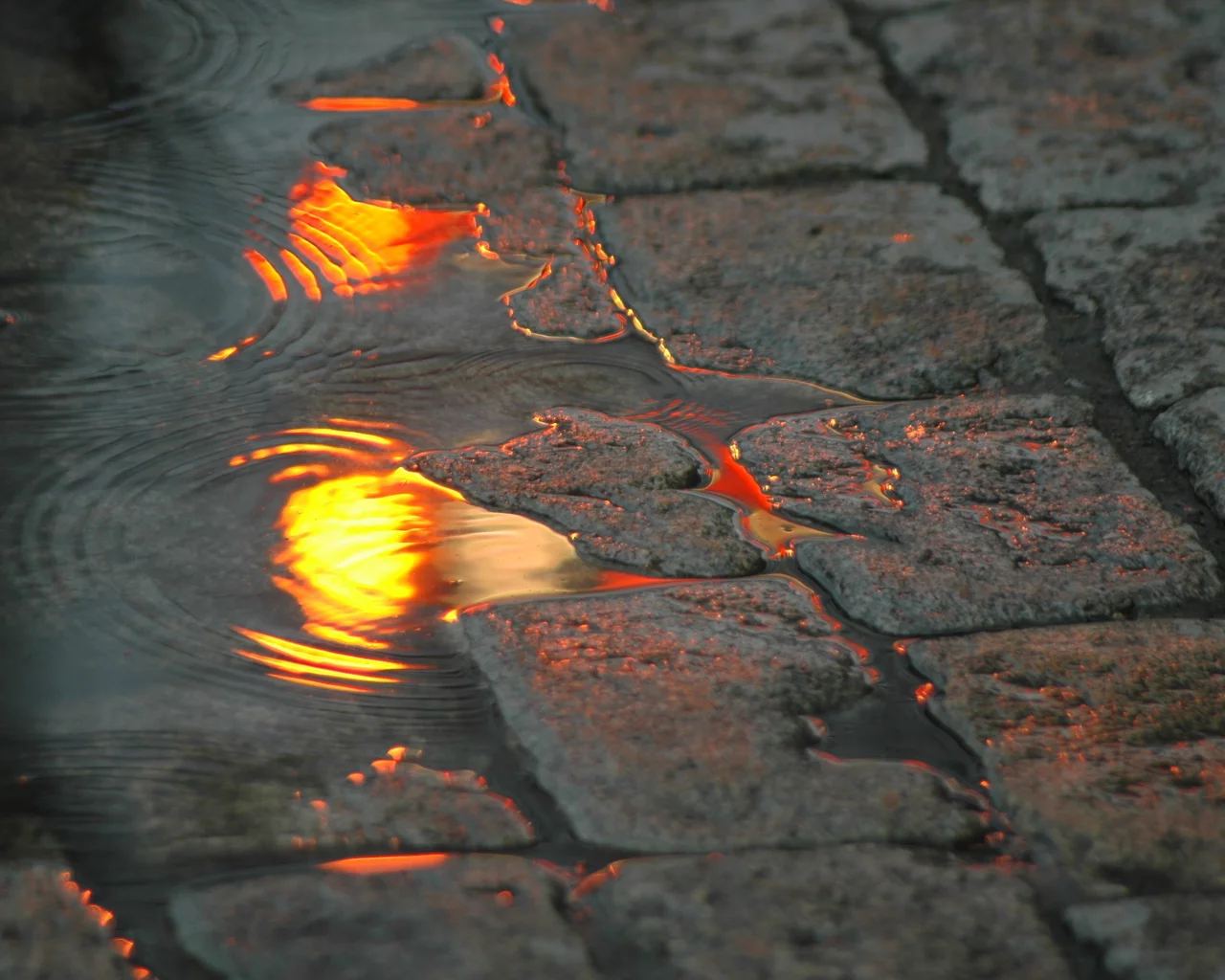 тротуар, лужа, блики