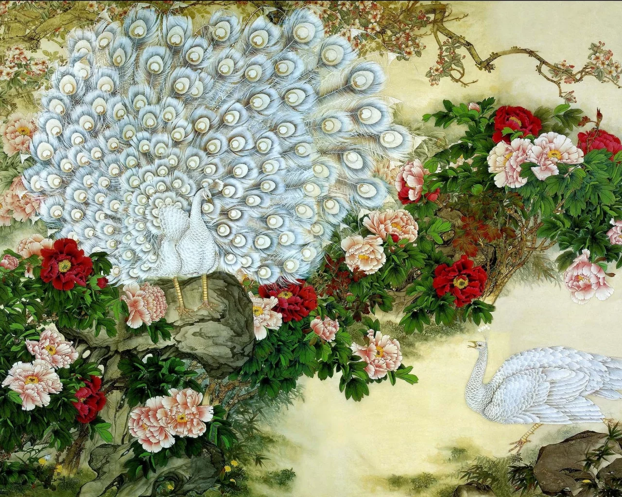 пара, павлины, цветы, рисунок