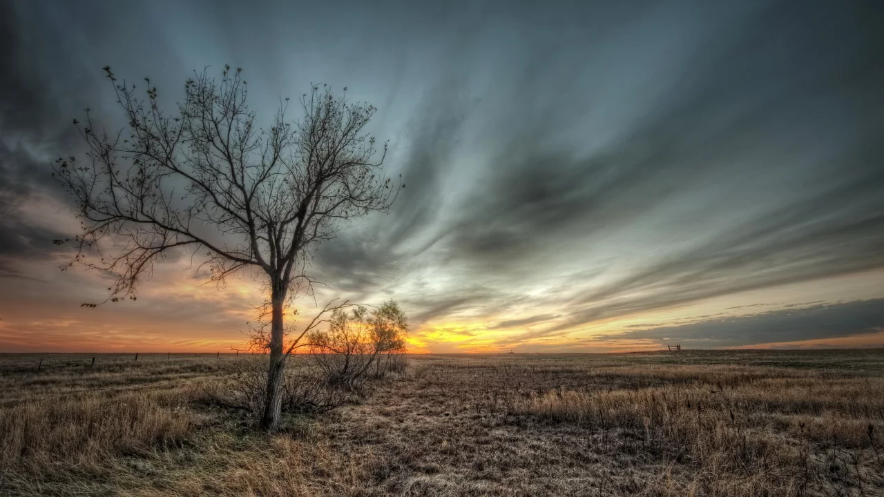 небо, пейзаж, дерево, HDR, природа, поле