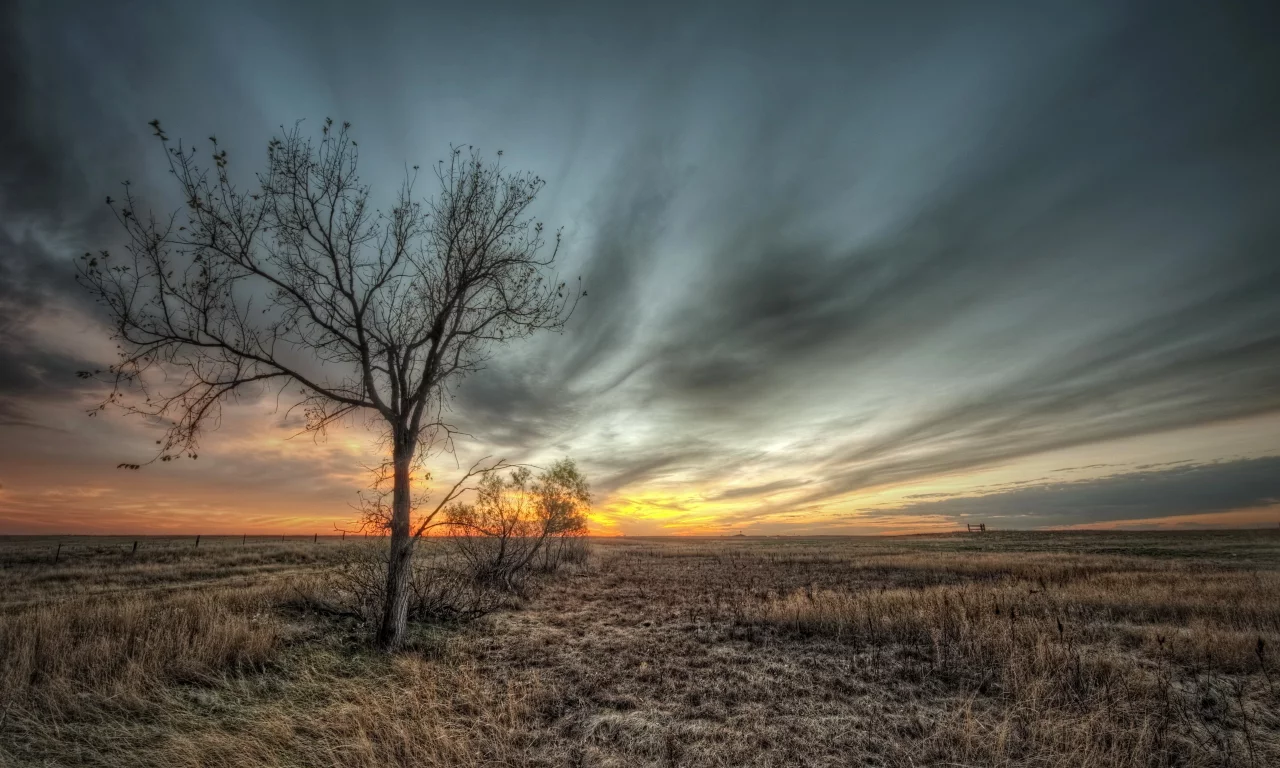небо, пейзаж, дерево, HDR, природа, поле