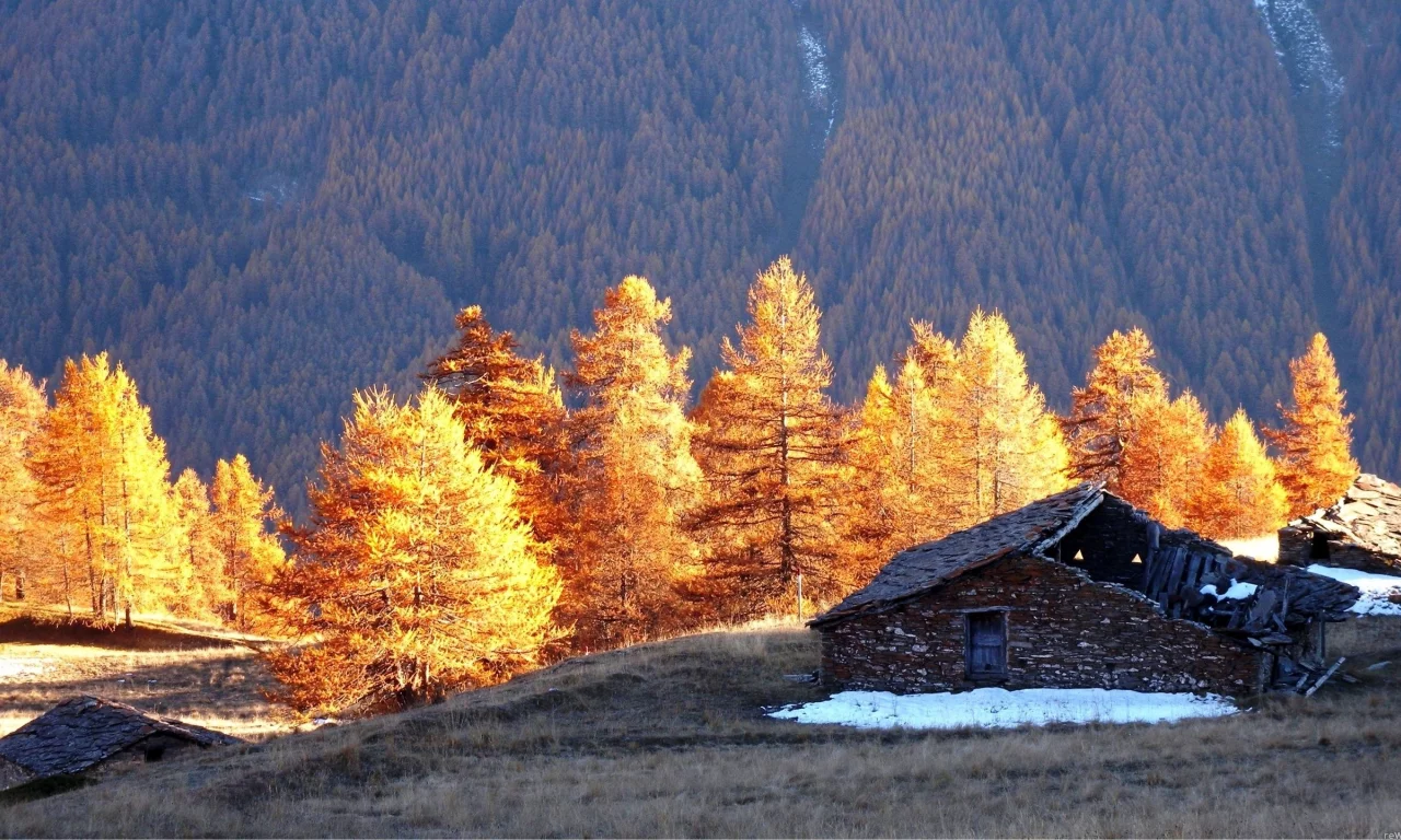 дом, небо, пейзаж, красота, деревья
