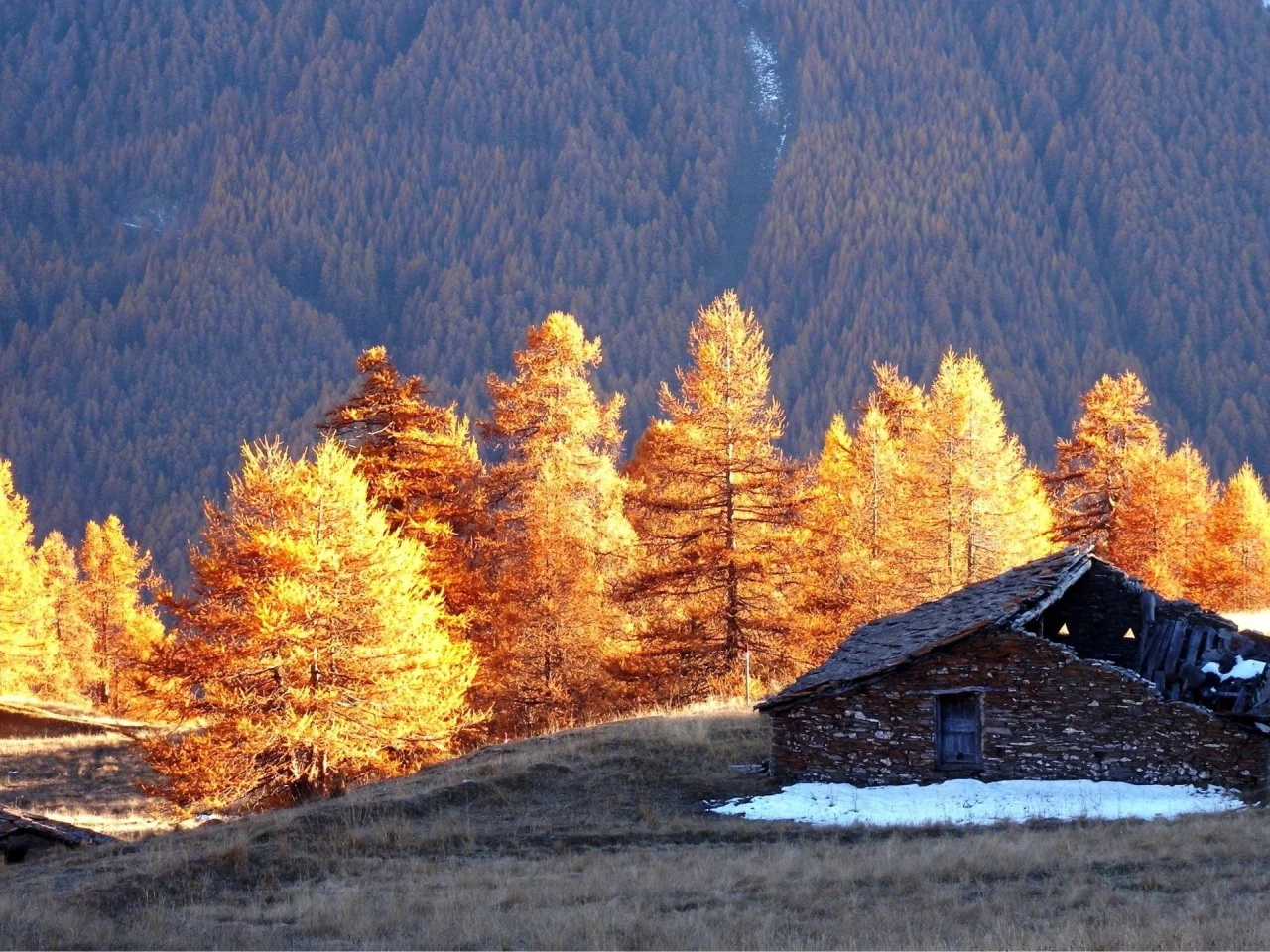 дом, небо, пейзаж, красота, деревья