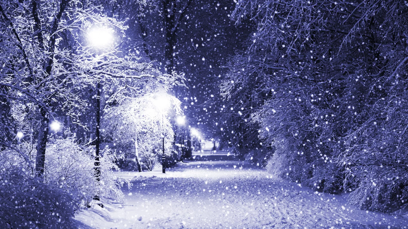 ночь, парк, зима, деревья, снег, фонари