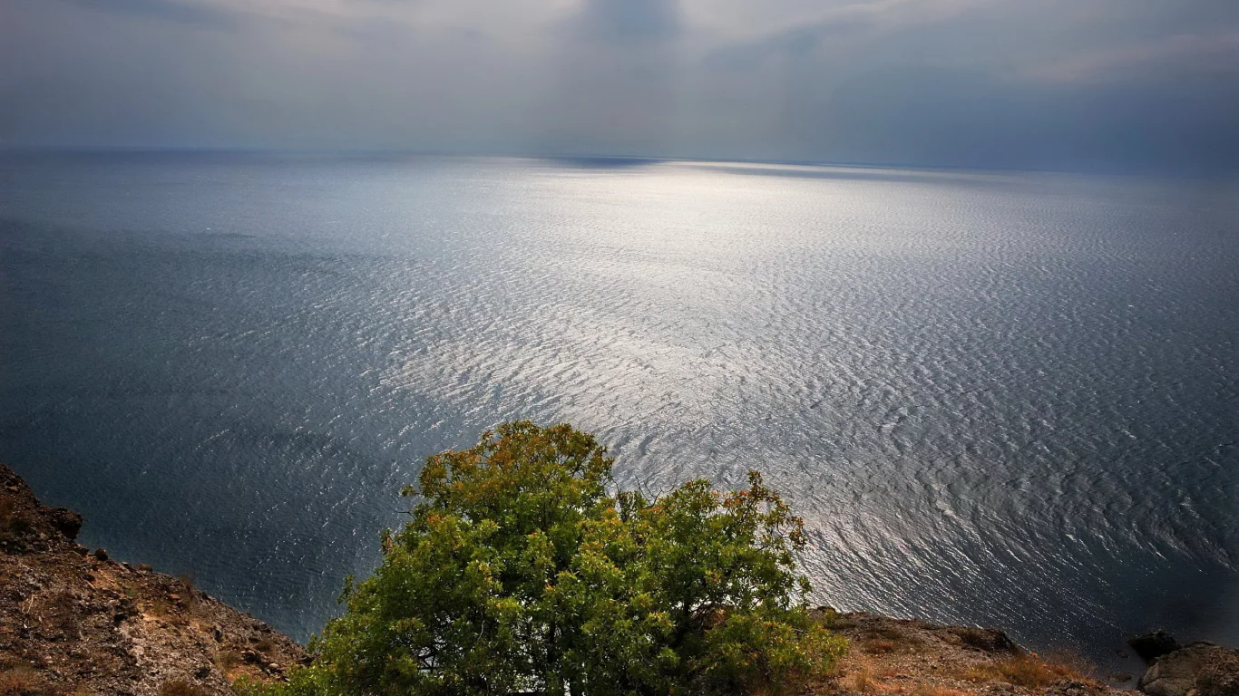 небо, море, дерево, пейзаж