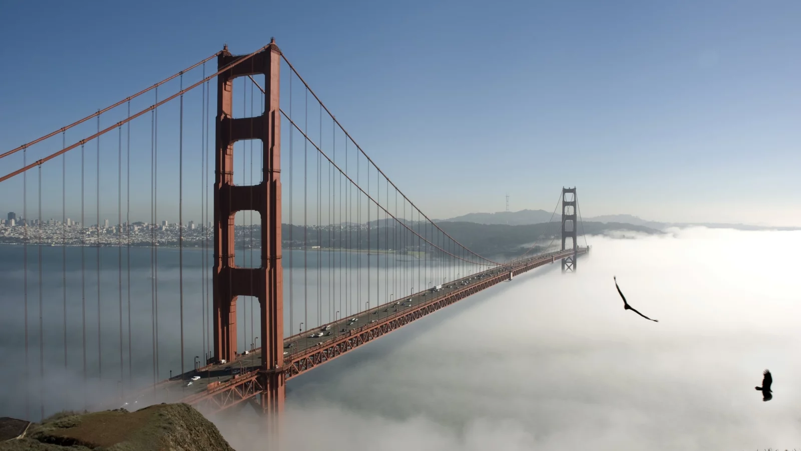 fog, sky, bridge