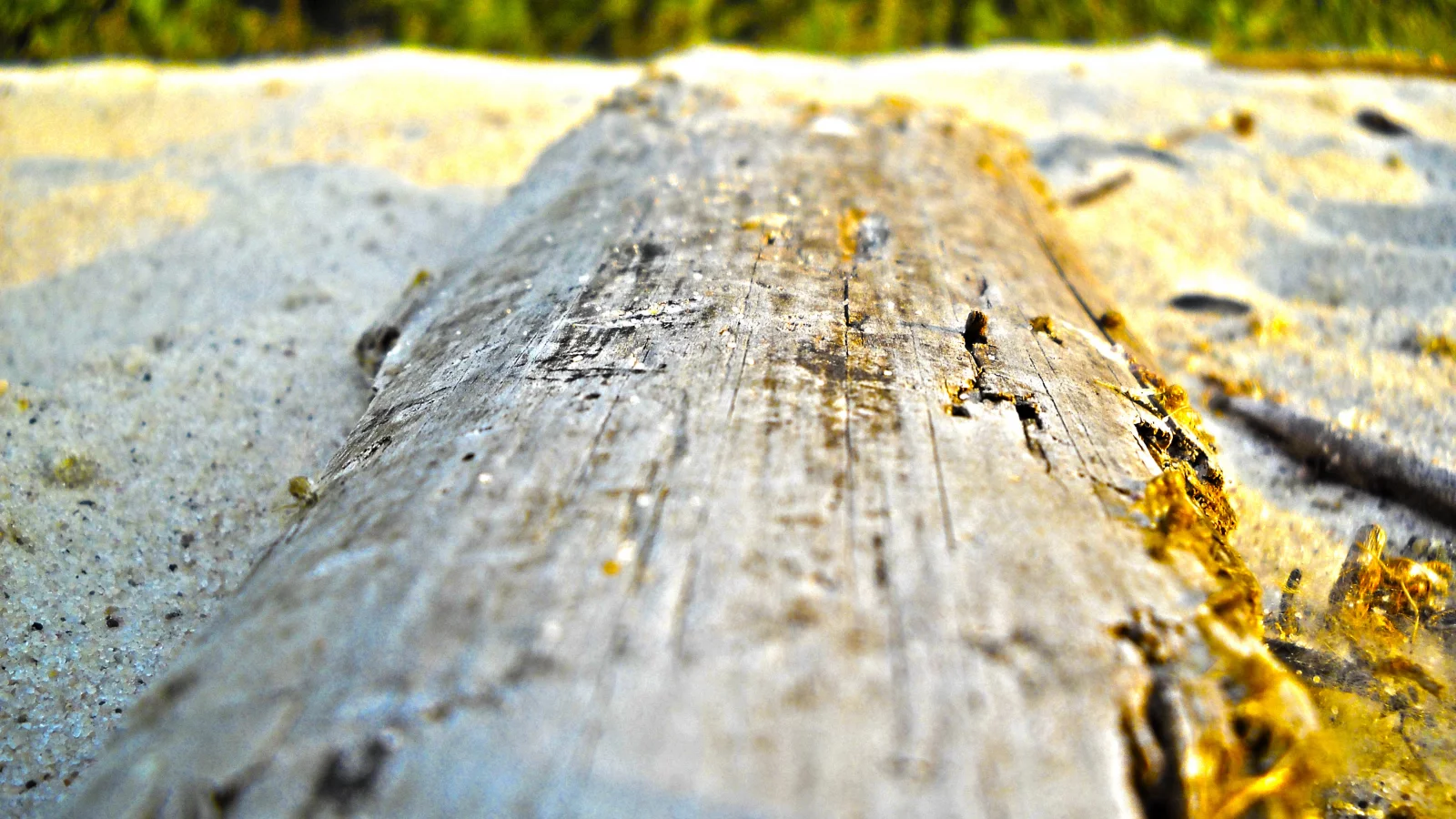 дерево, брус, доска, песок, пляж, hdr, размытость, берег, макро