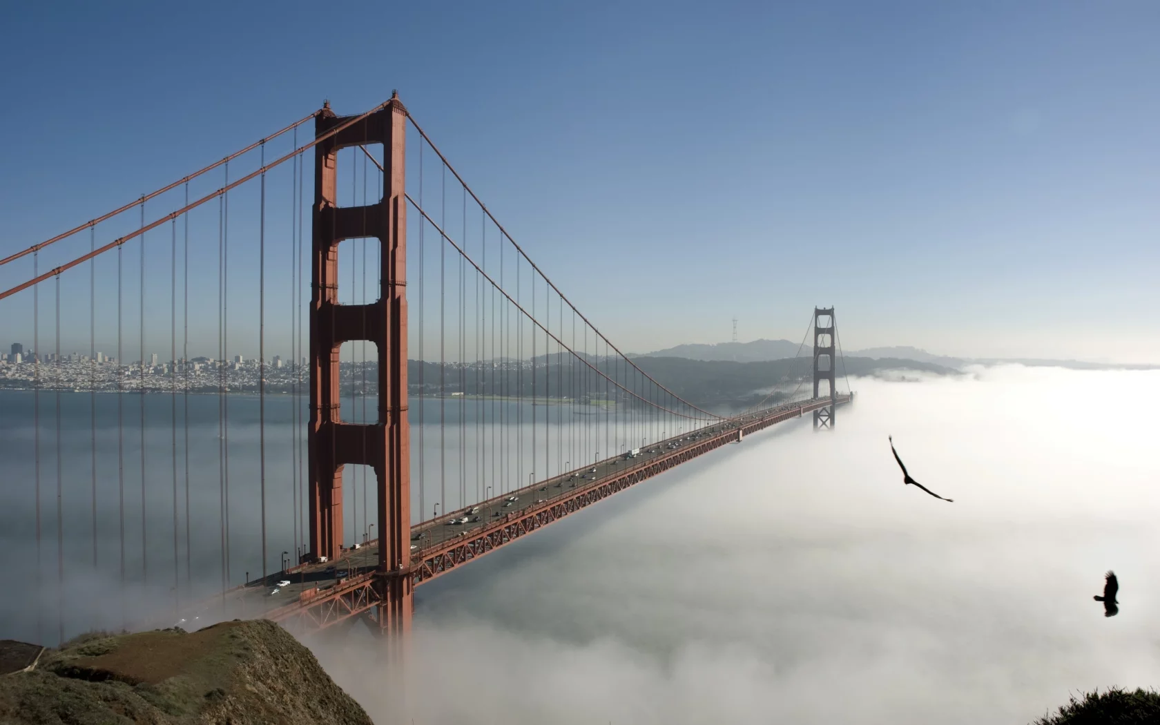 fog, sky, bridge