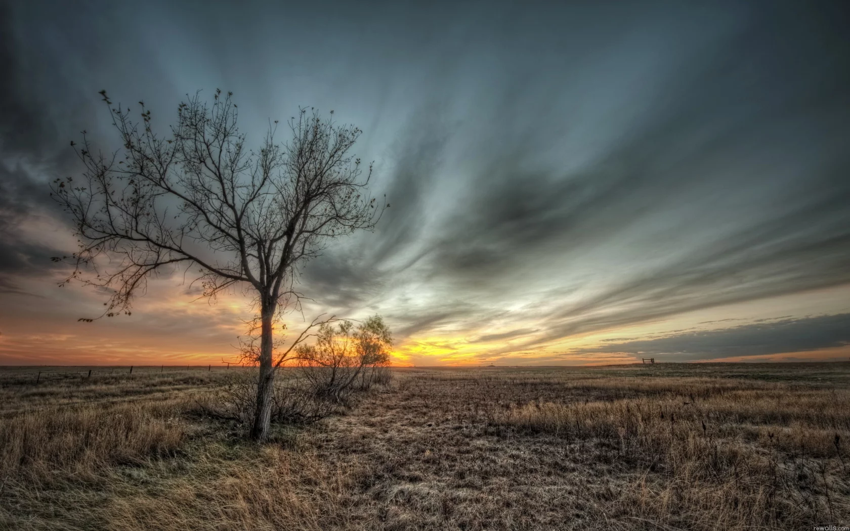небо, пейзаж, дерево, HDR, природа, поле