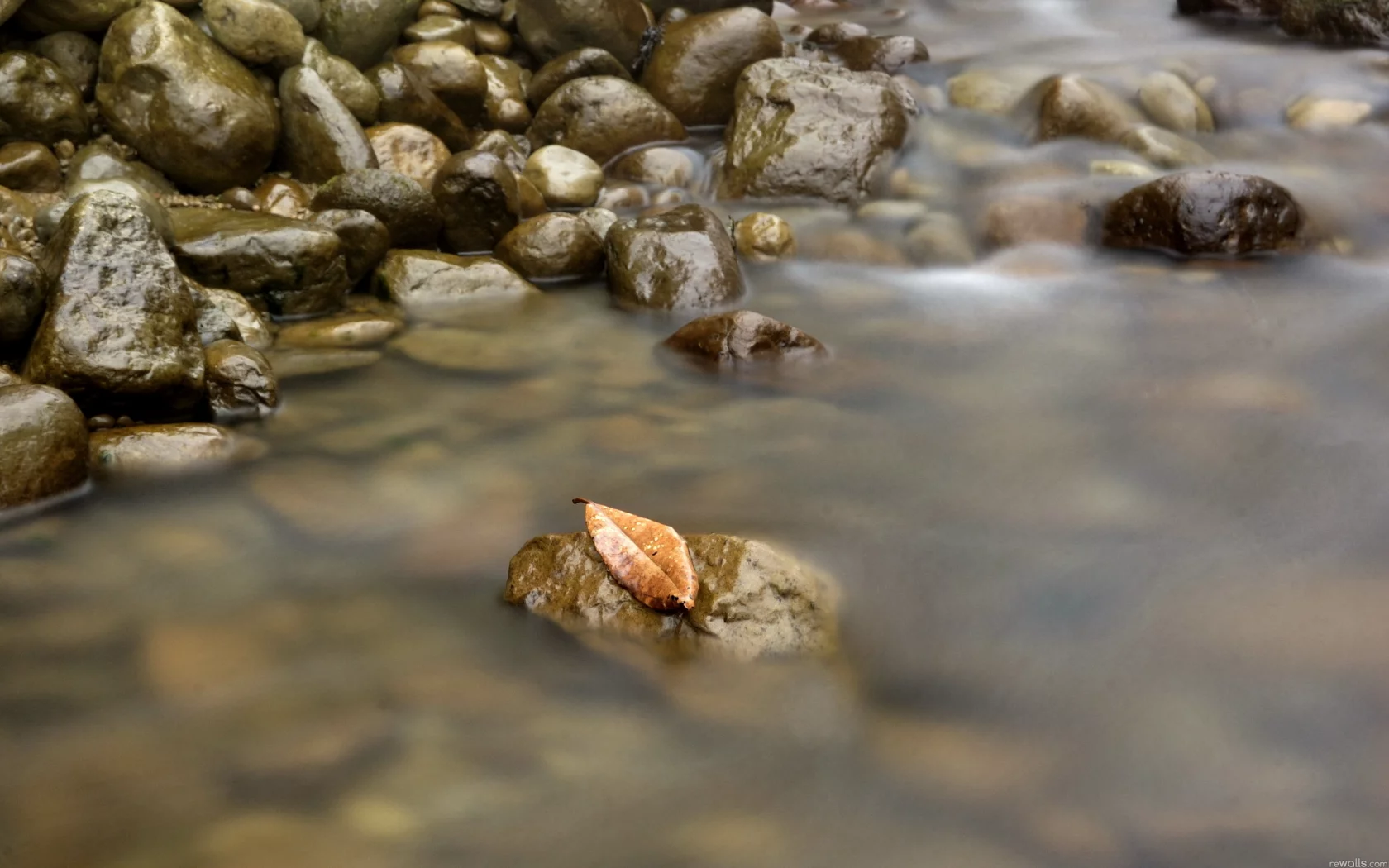 природа, вода, лист, камни