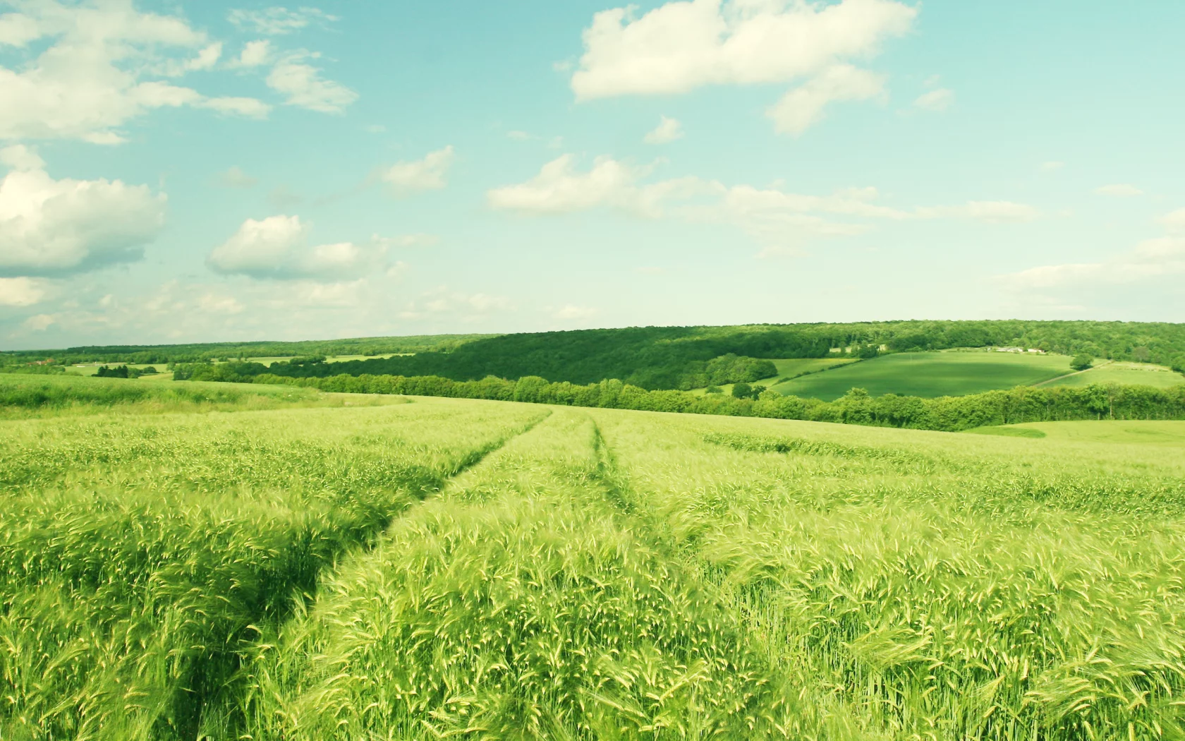 деревья, nature, 2560x1600, зелень, пейзаж, поле, небо, greenery, hill, trees, landscape, облака, природа, clouds, sky